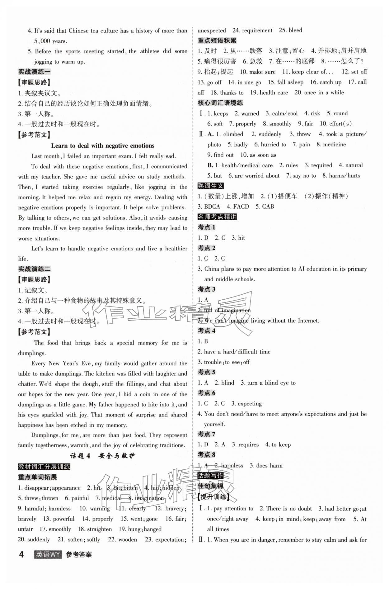 2026年中考總復(fù)習(xí)名師A計劃英語中考外研版合肥專版&nbsp;參考答案第4頁