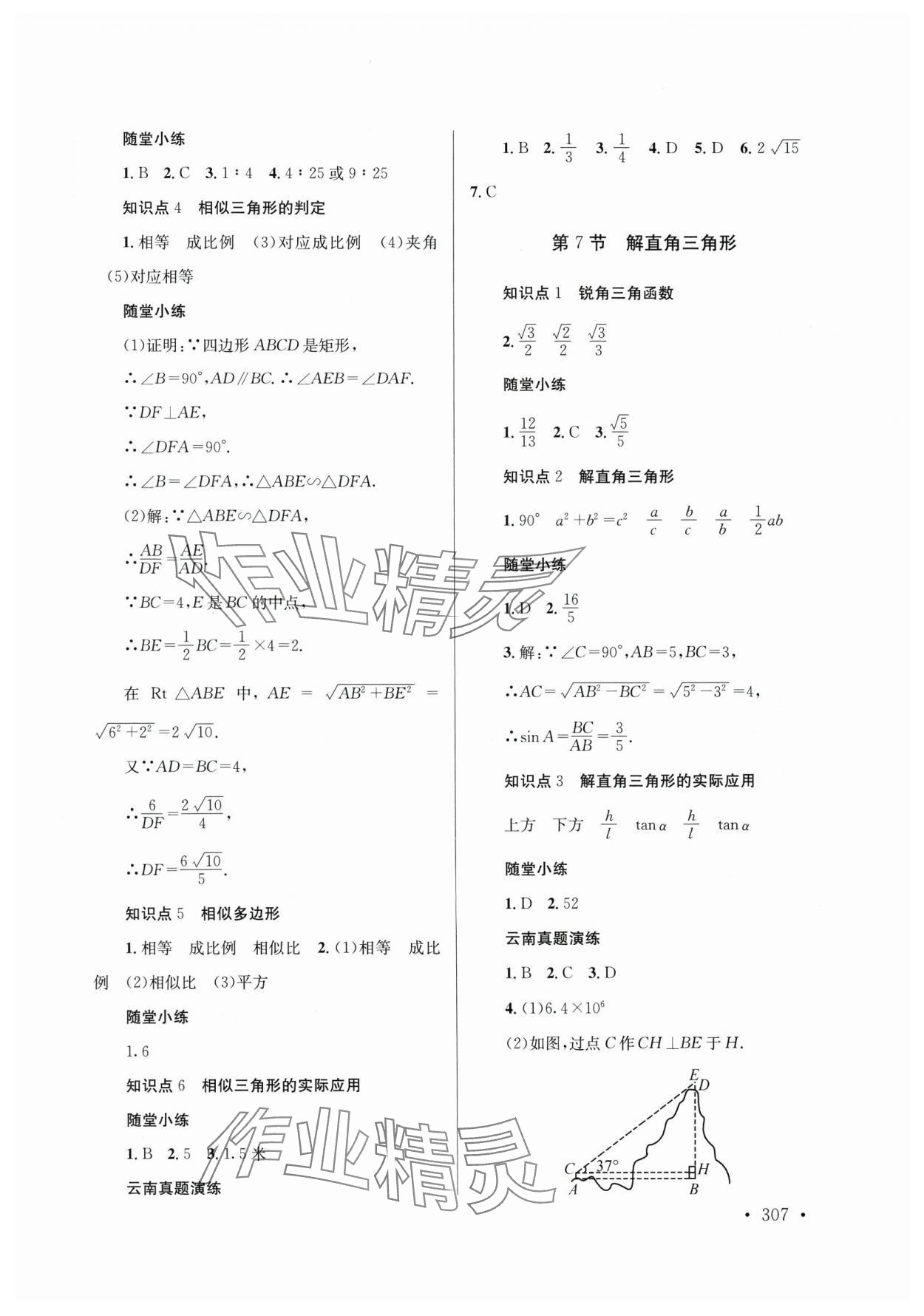 2025年云南省初中學(xué)業(yè)水平考試總復(fù)習(xí)及測(cè)試數(shù)學(xué) 第17頁
