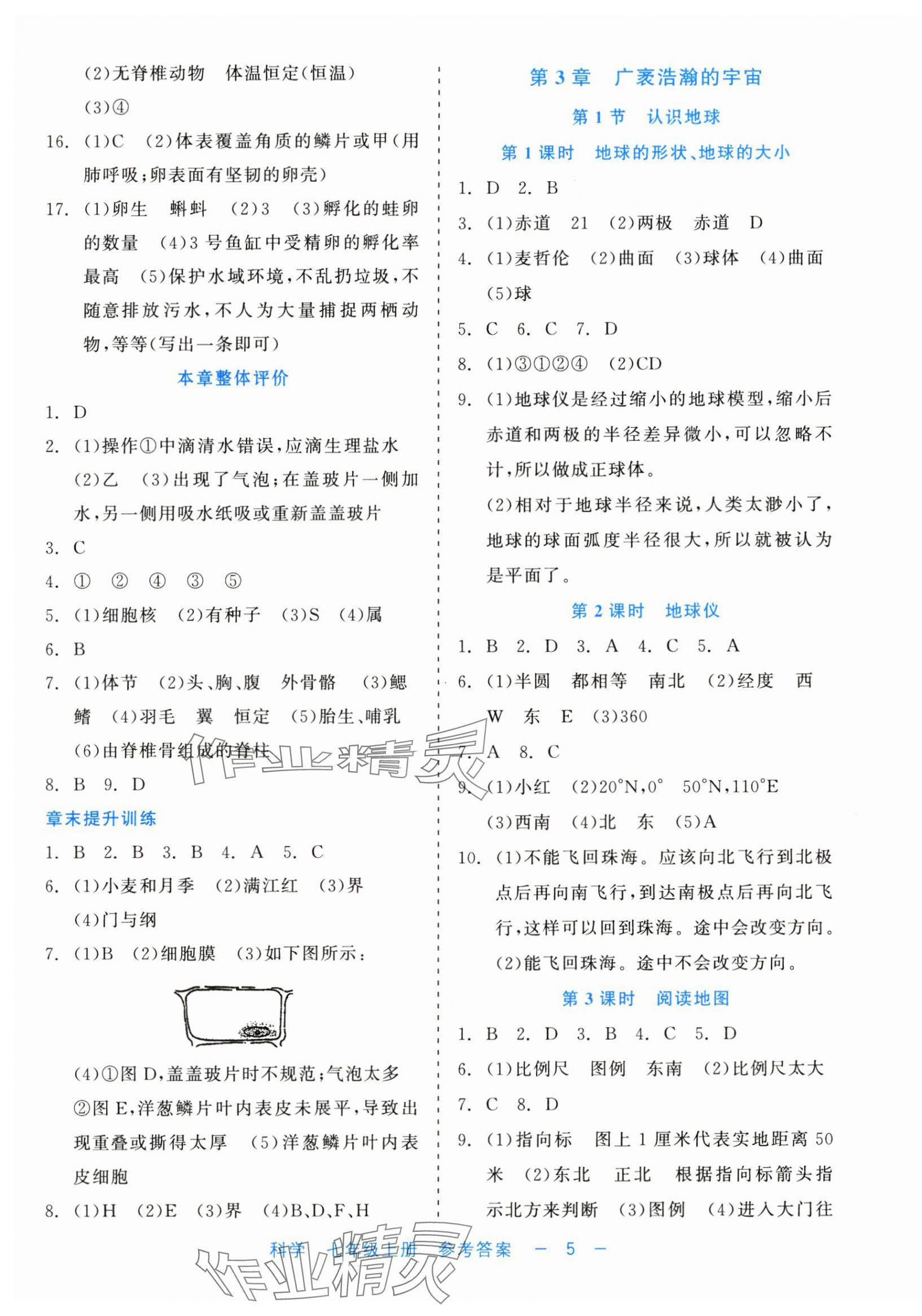 2024年精彩练习就练这一本七年级科学上册浙教版评议教辅 第5页