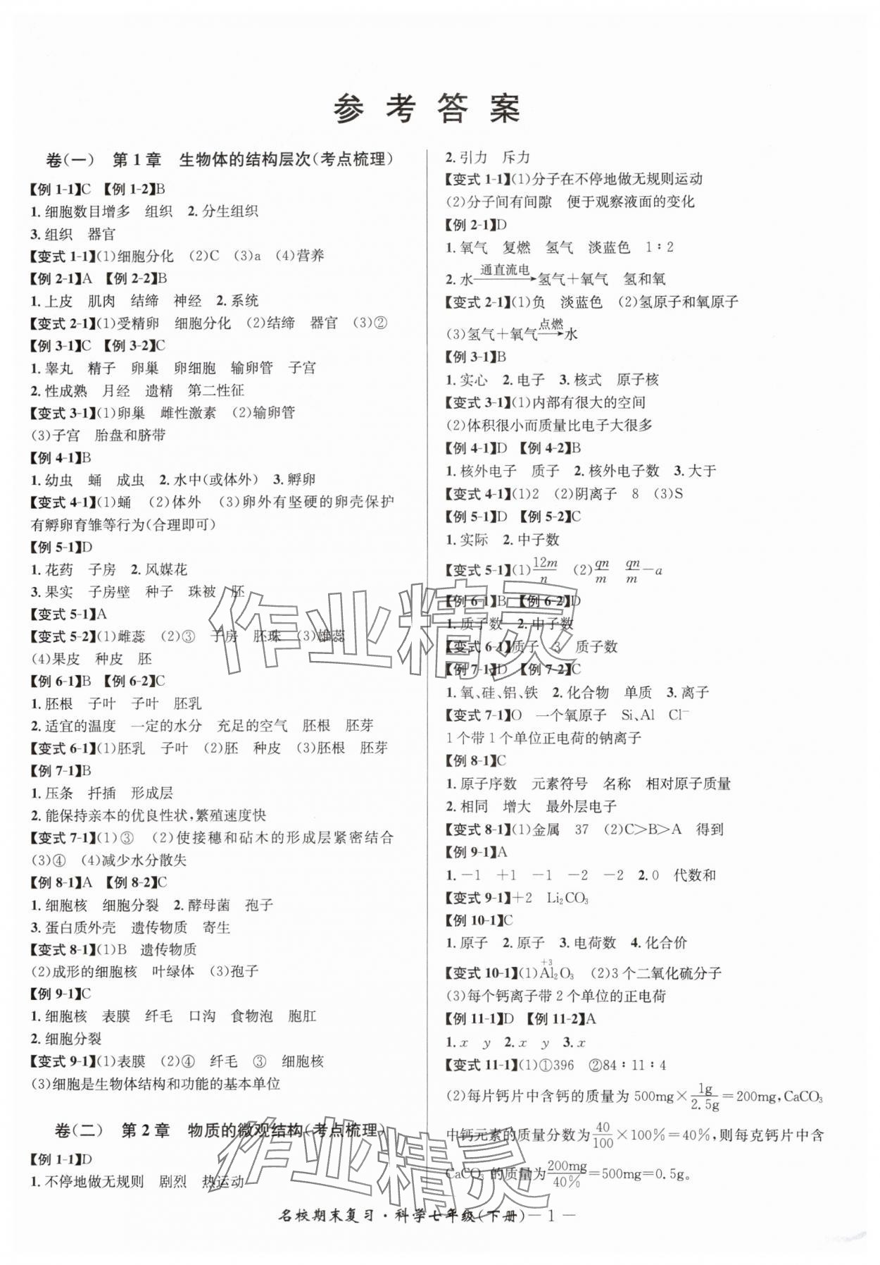 2025年名校期末復習寶典七年級科學下冊浙教版 參考答案第1頁