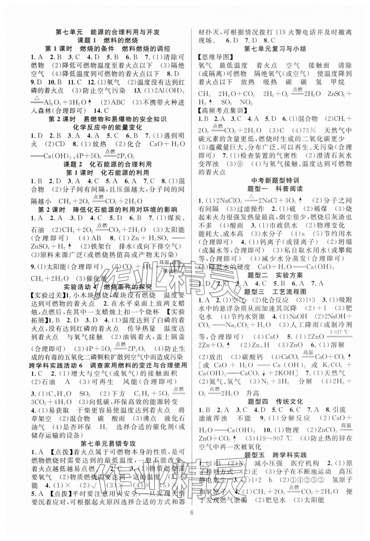 2025年課時(shí)奪冠九年級(jí)化學(xué)上冊(cè)人教版 第8頁