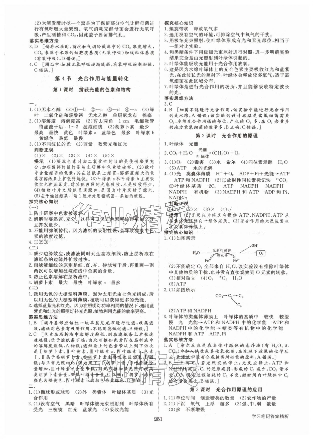 2025年步步高学习笔记高中生物必修1人教版 参考答案第10页