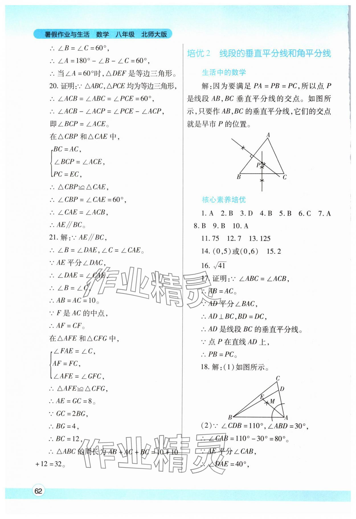 2024年暑假作业与生活八年级数学北师大版陕西师范大学出版总社有限公司 第2页