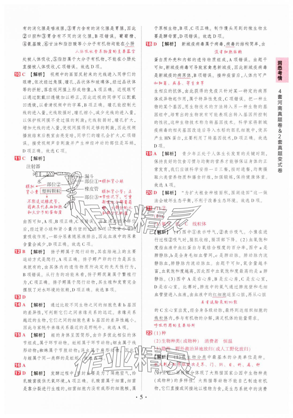2025年鼎成中考河南中考真題匯編生物中考&nbsp;第5頁