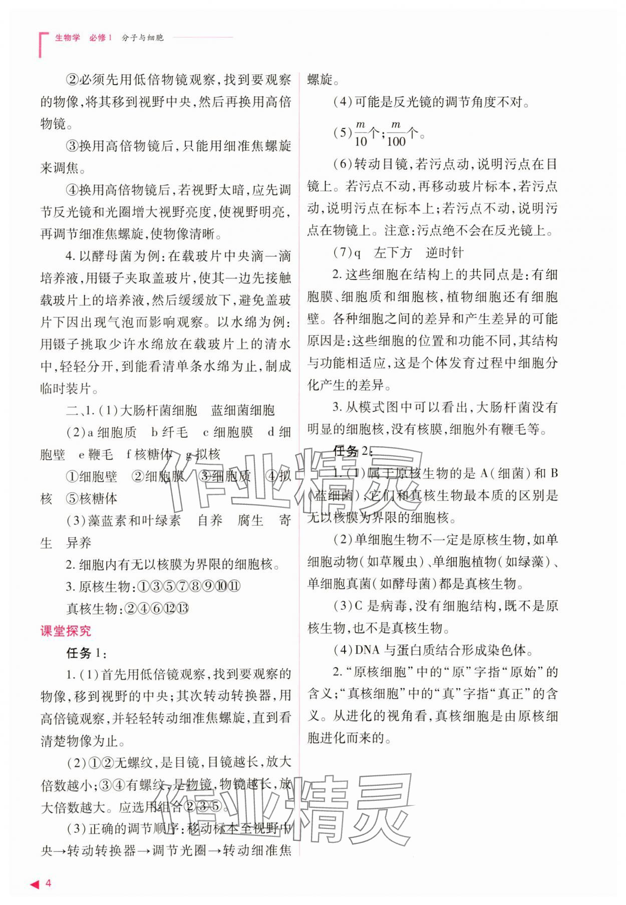 2023年普通高中新课程同步练习册高中生物必修1人教版 参考答案第4页