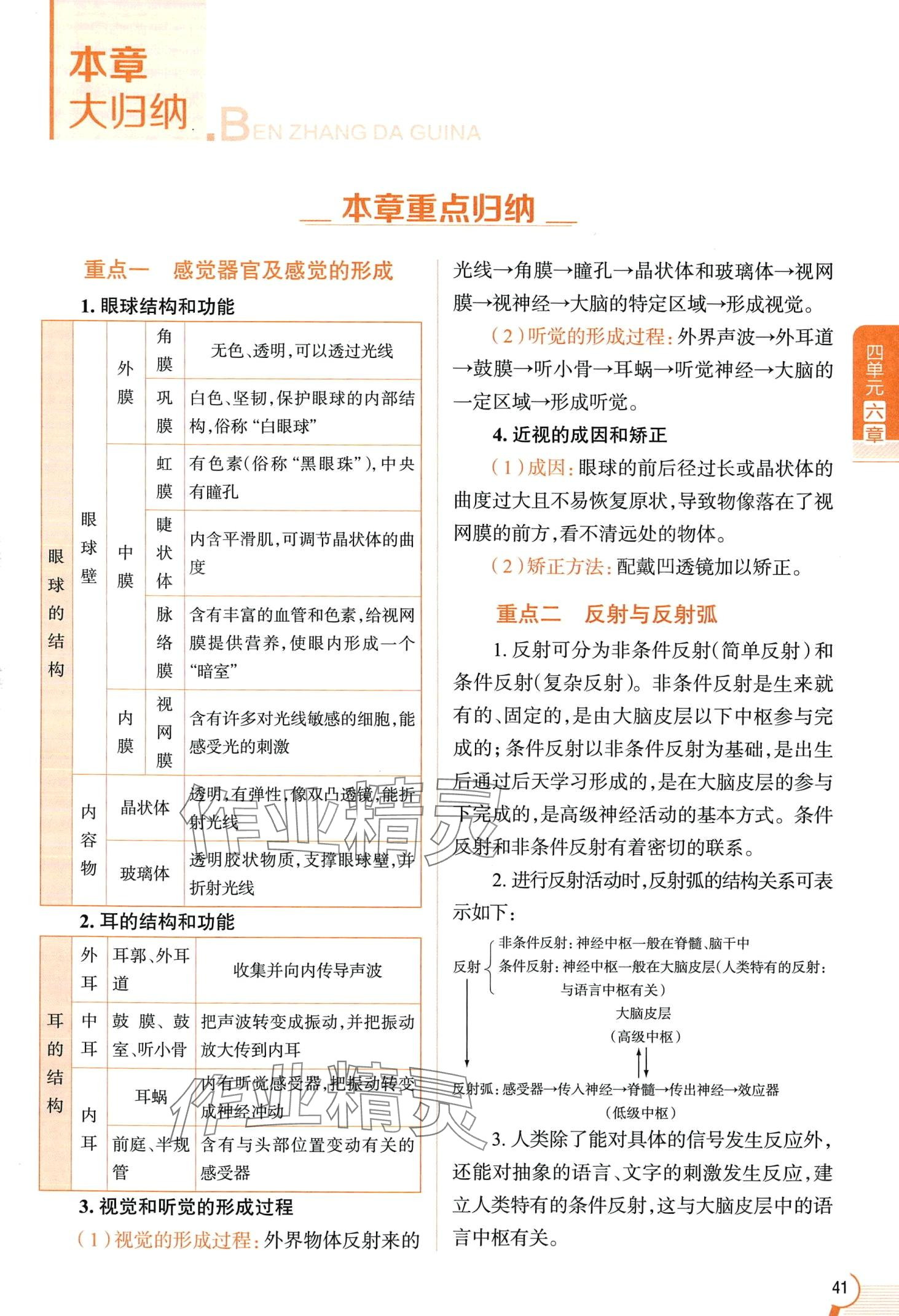 2024年教材课本七年级生物下册鲁科版&nbsp;第41页