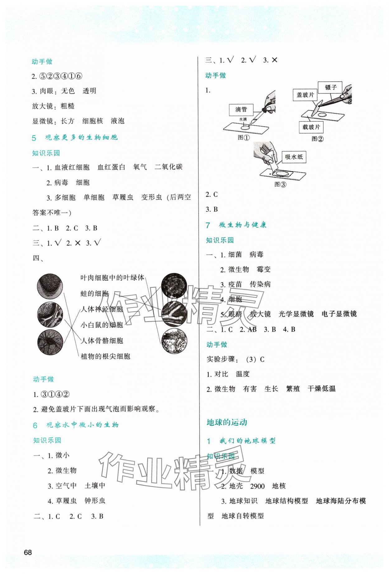 2023年新課程學(xué)習與評價六年級科學(xué)上冊教科版 第2頁