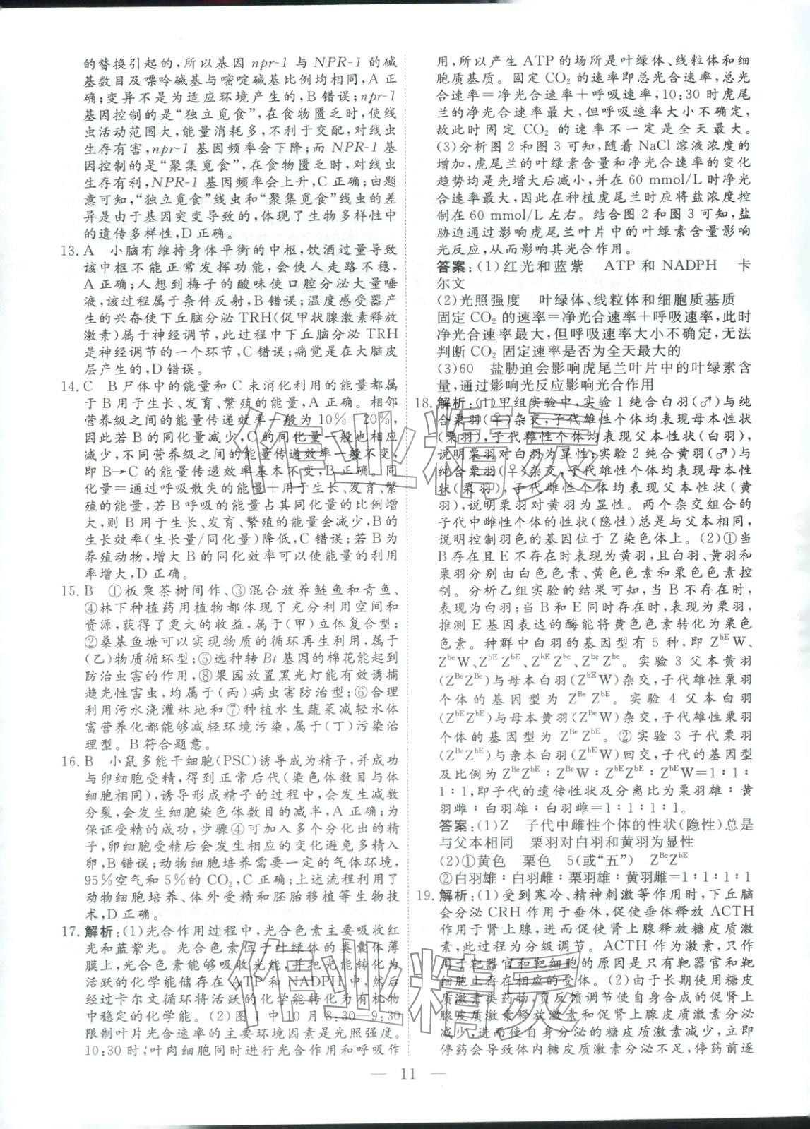2026年金牌考卷高考仿真模拟16套生物 第11页