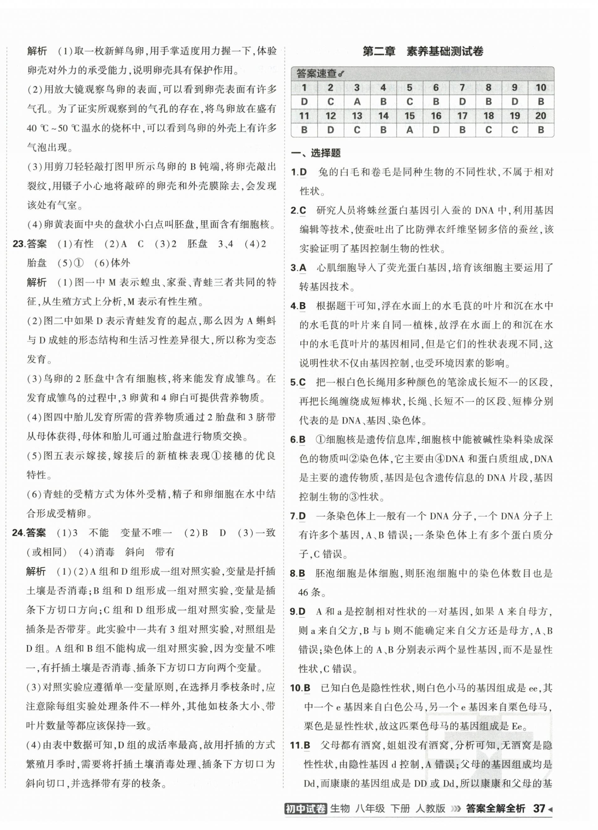 2026年5年中考3年模拟初中试卷八年级生物下册人教版&nbsp;第2页