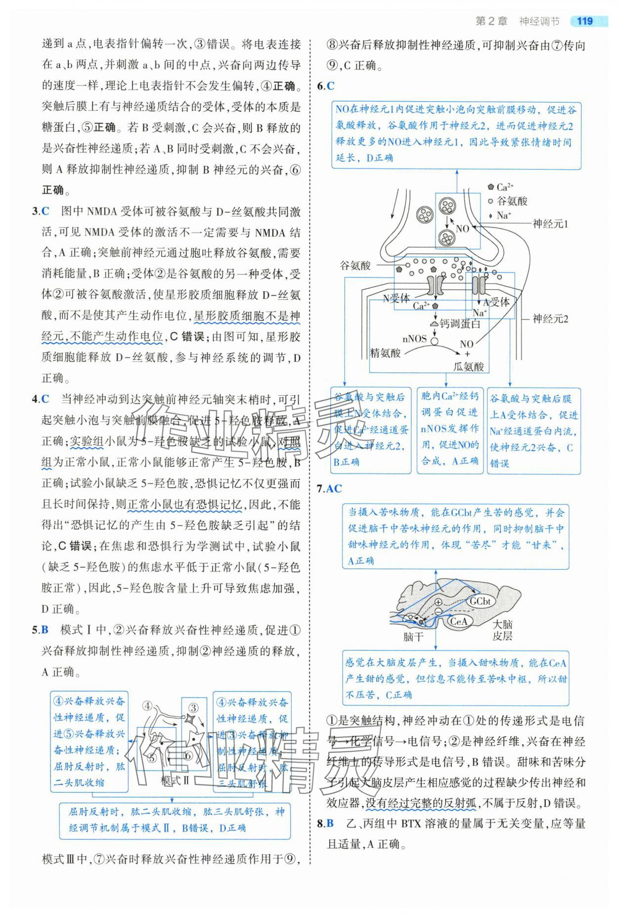 2025年5年高考3年模擬高中生物選擇性必修1人教版 第17頁