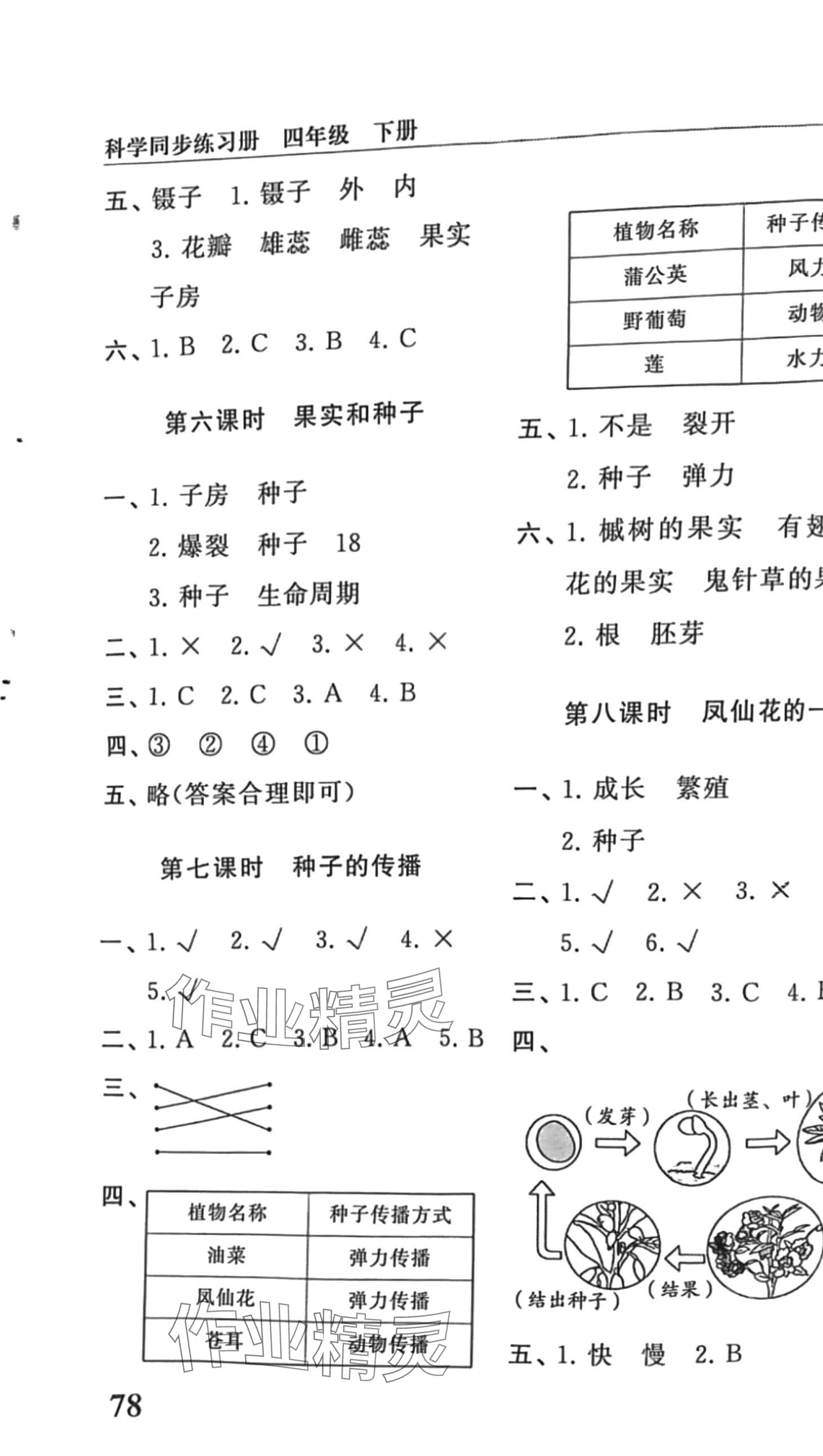 2024年同步練習冊山東友誼出版社四年級科學下冊教科版 第3頁