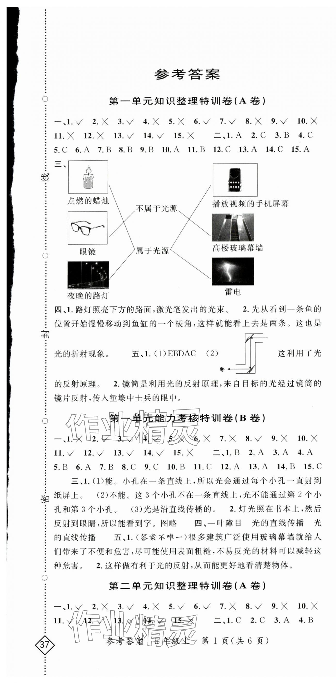 2024年特訓卷五年級科學上冊教科版 第1頁