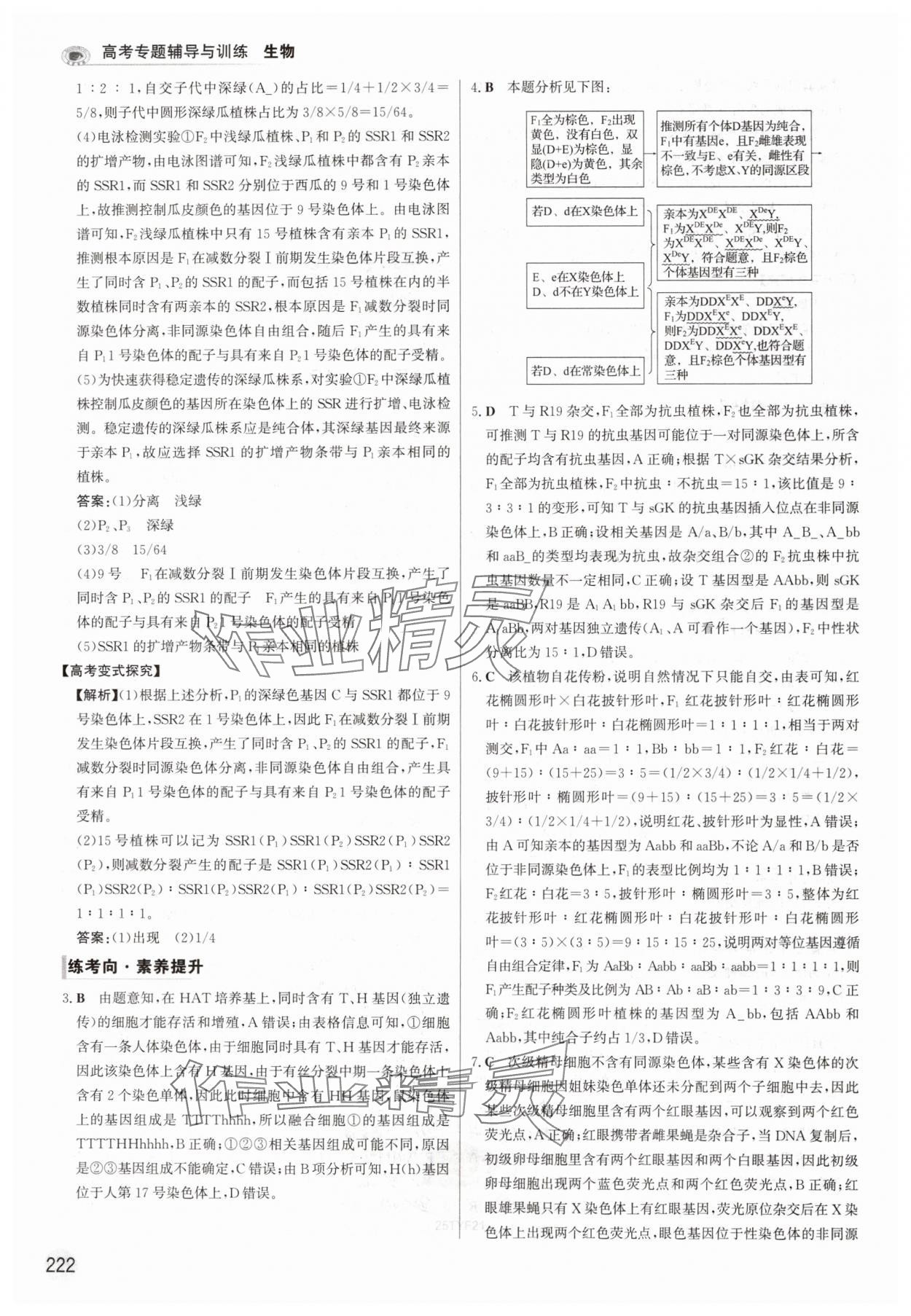 2025年高考專(zhuān)題輔導(dǎo)與訓(xùn)練高中生物人教版 參考答案第10頁(yè)