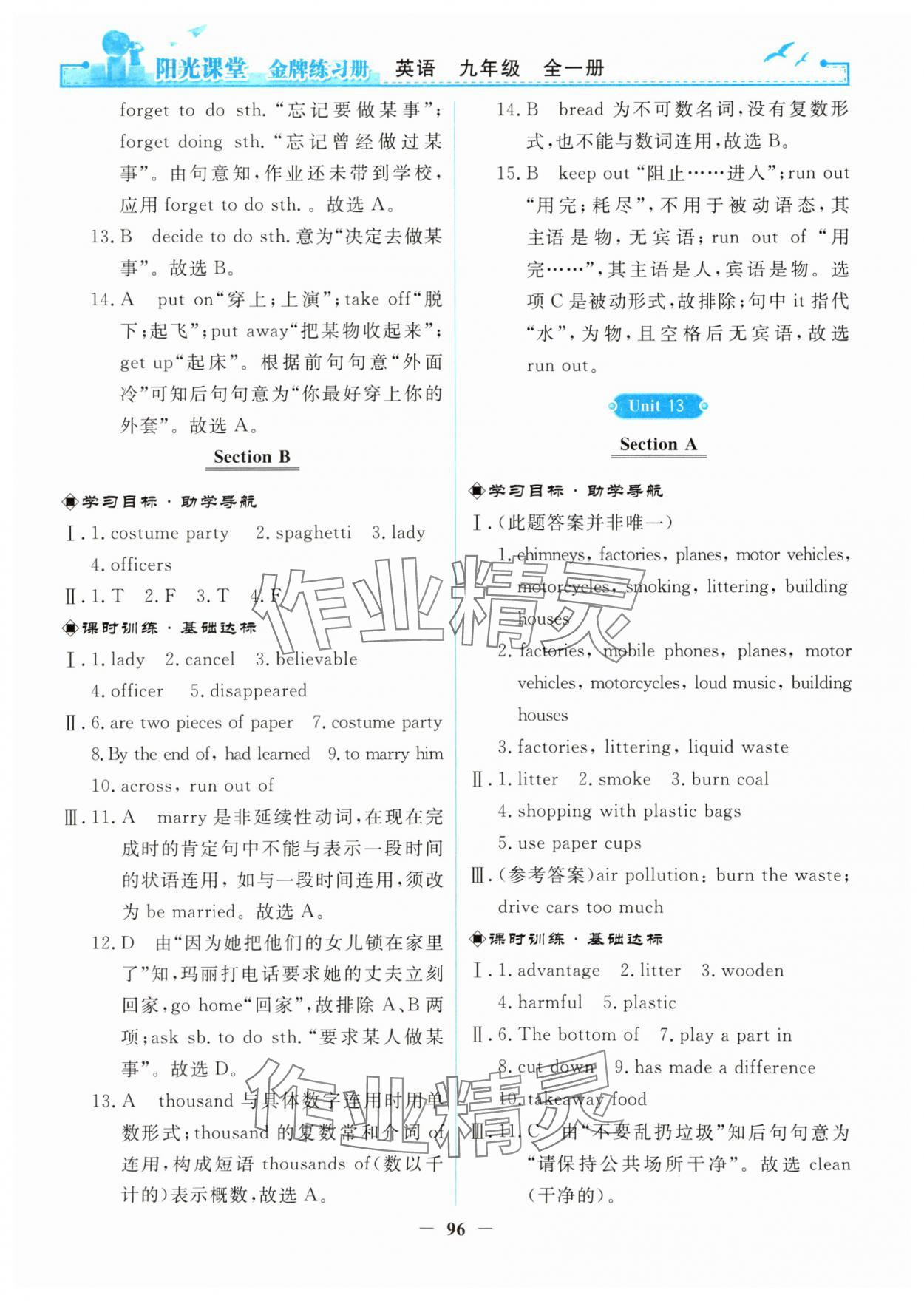 2025年阳光课堂金牌练习册九年级英语全一册人教版 第12页