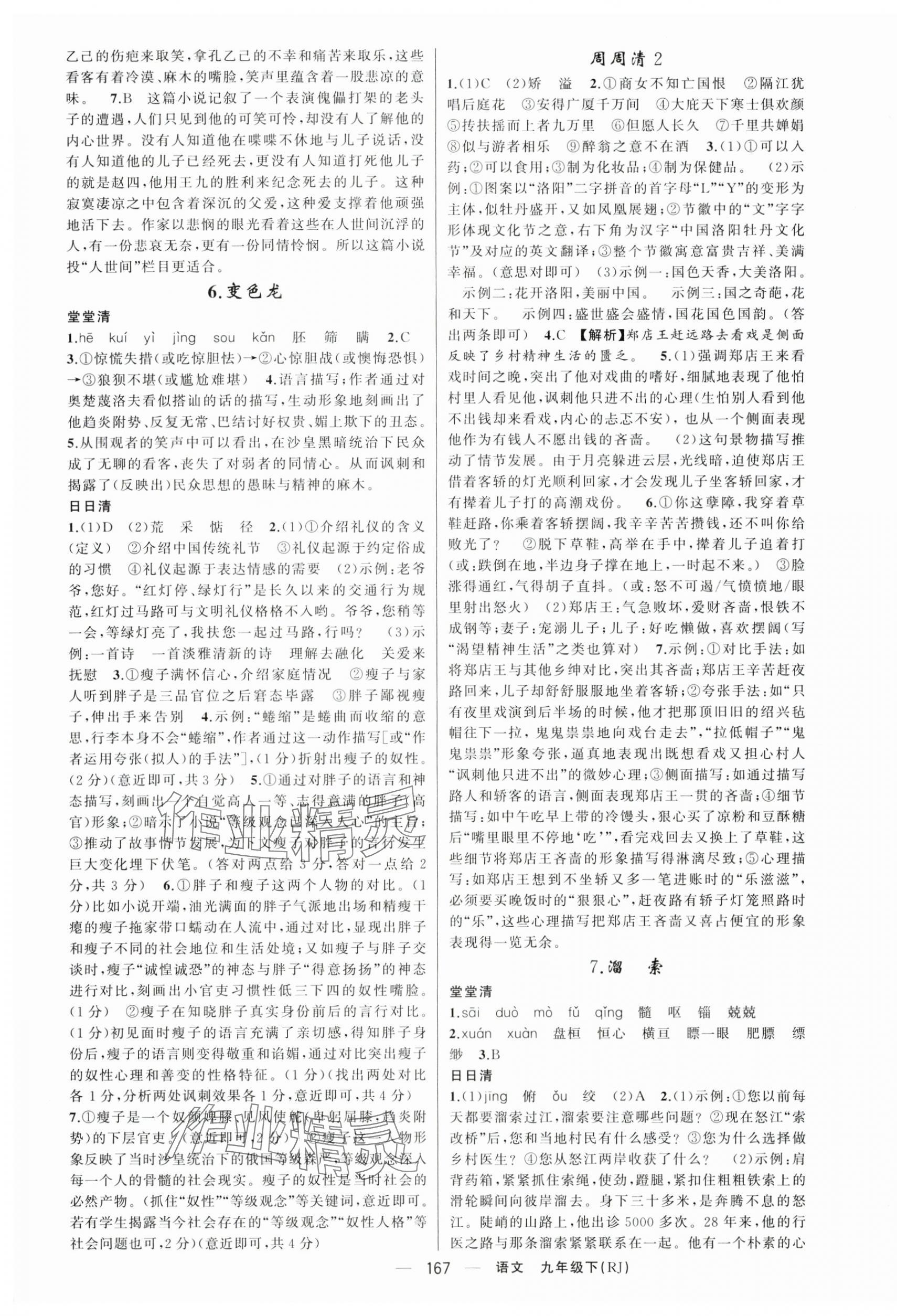 2024年四清導(dǎo)航九年級語文下冊人教版河南專版 第3頁