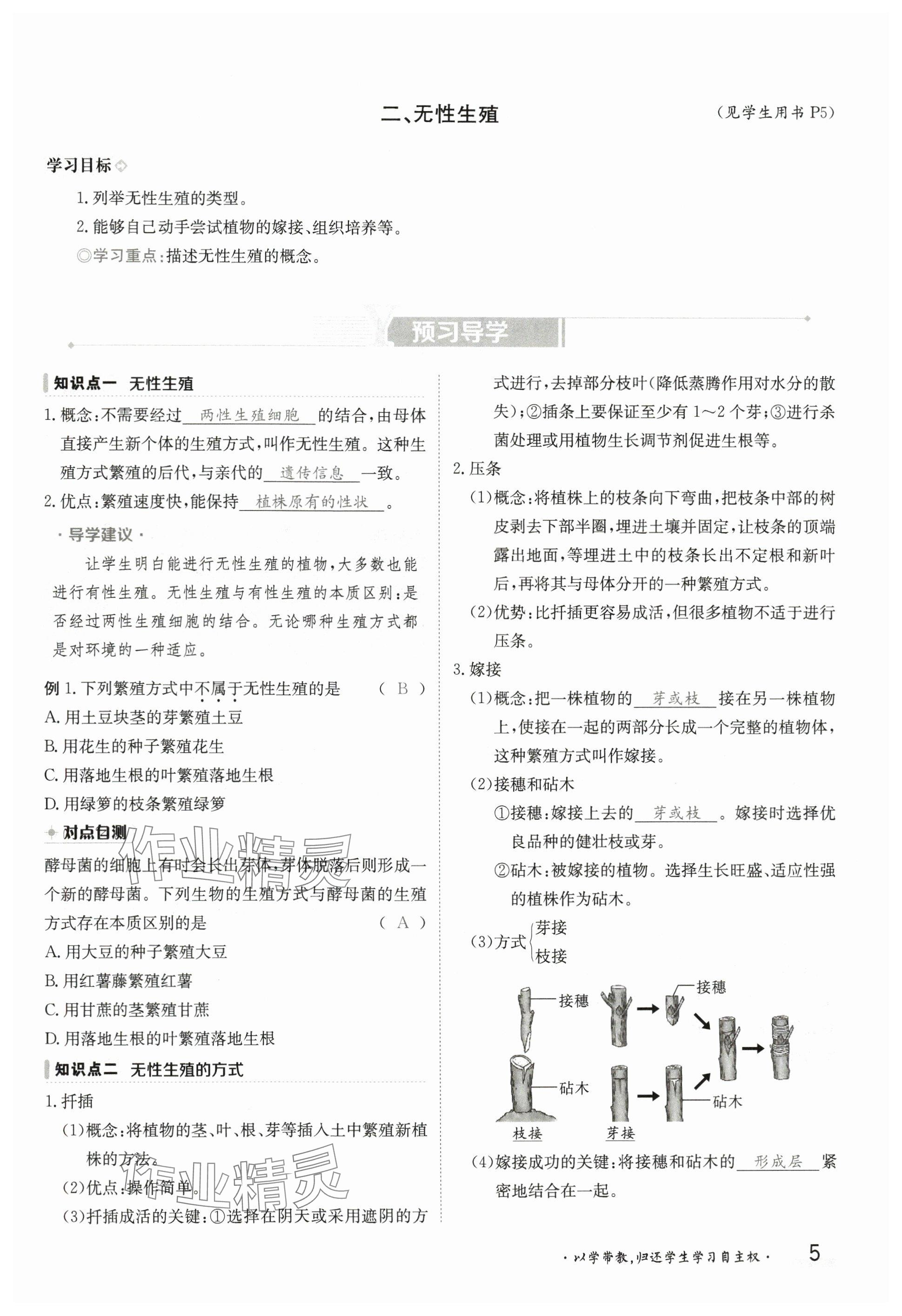 2025年金太陽導學案八年級生物下冊冀少版 參考答案第5頁