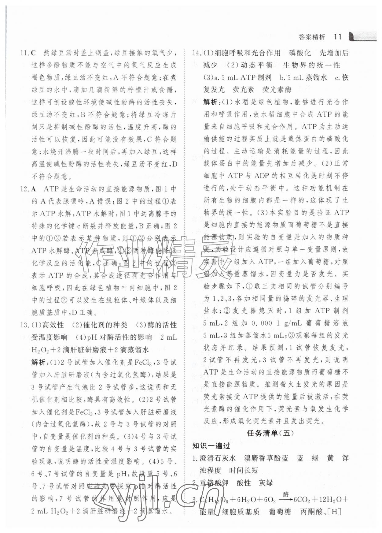 2026年金版新学案暑假作业高一生物&nbsp;参考答案第10页