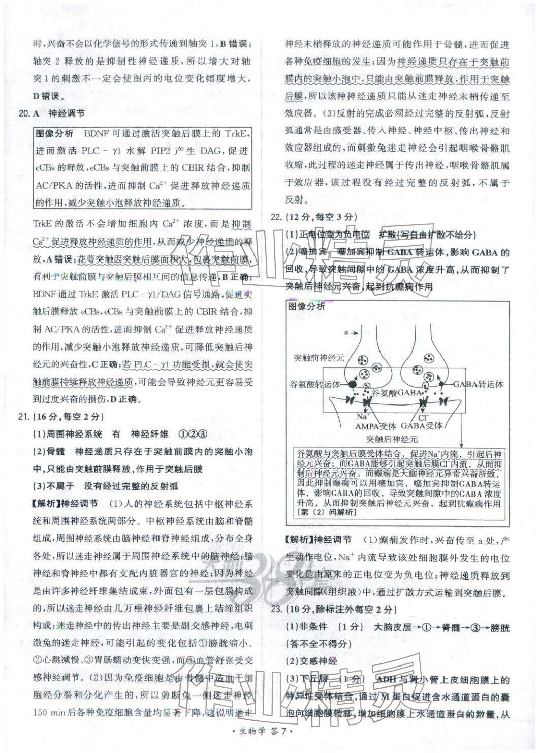 2025年天利38套对接高考单元专题测试卷高中生物选择性必修第一册人教版 第7页