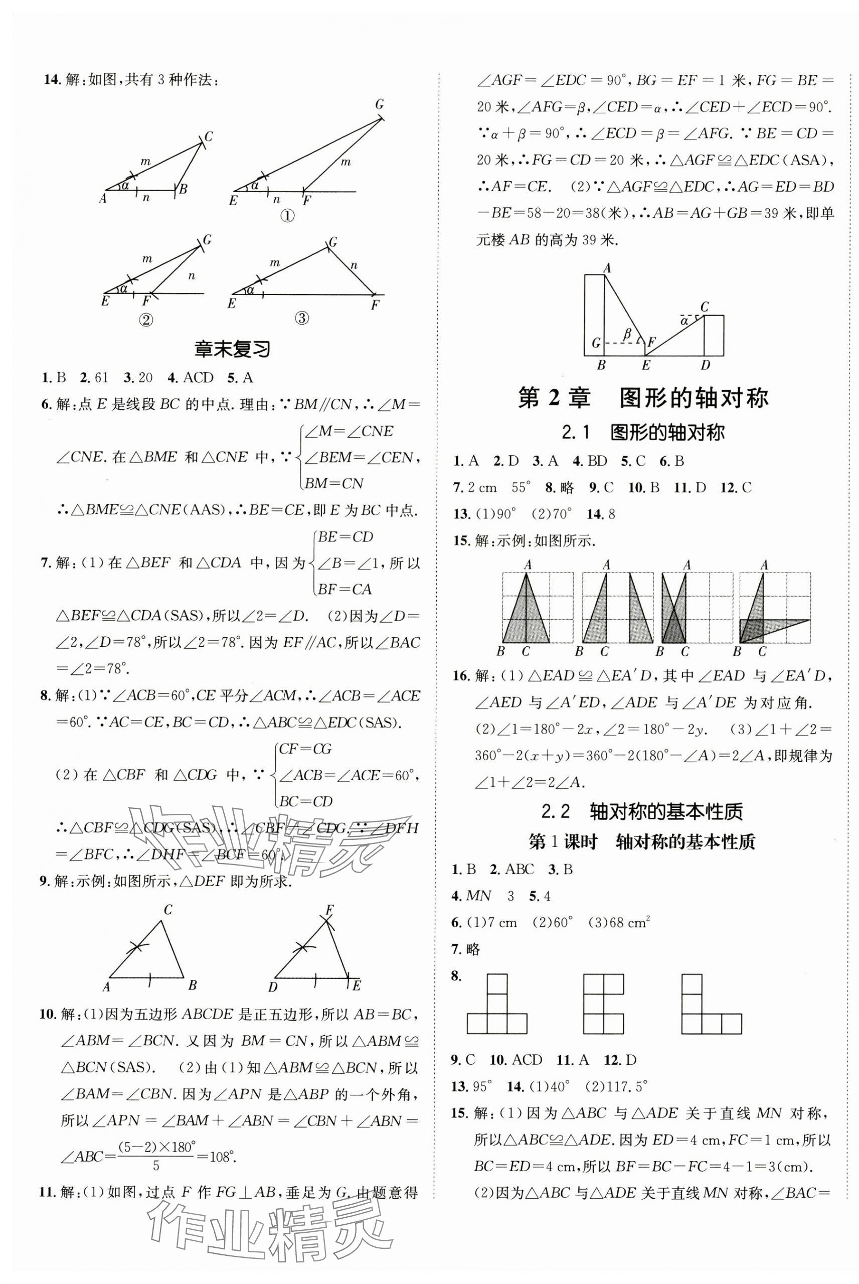 2024年同行學(xué)案八年級數(shù)學(xué)上冊青島版 第5頁