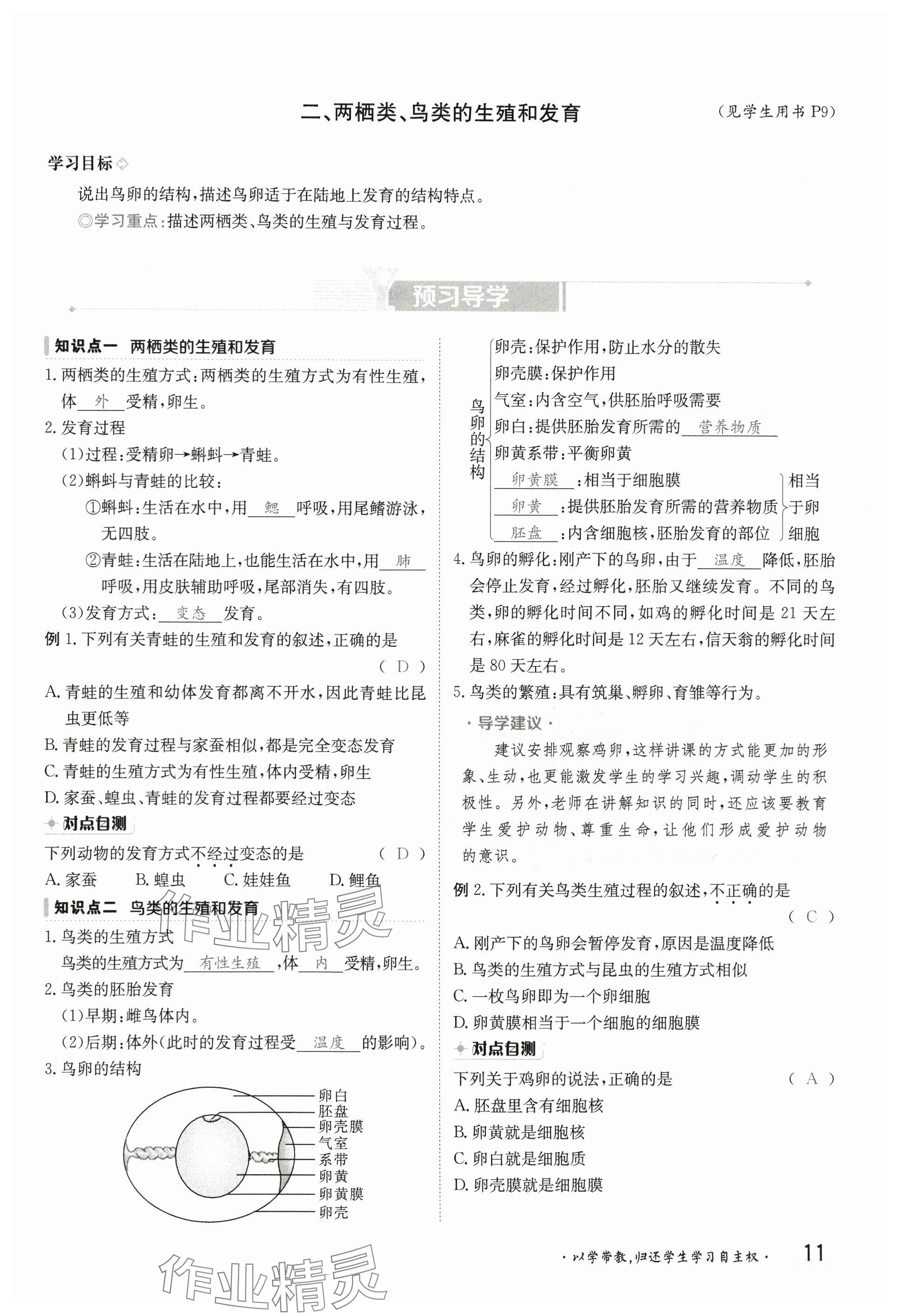 2025年金太陽導(dǎo)學(xué)案八年級生物下冊冀少版 參考答案第11頁