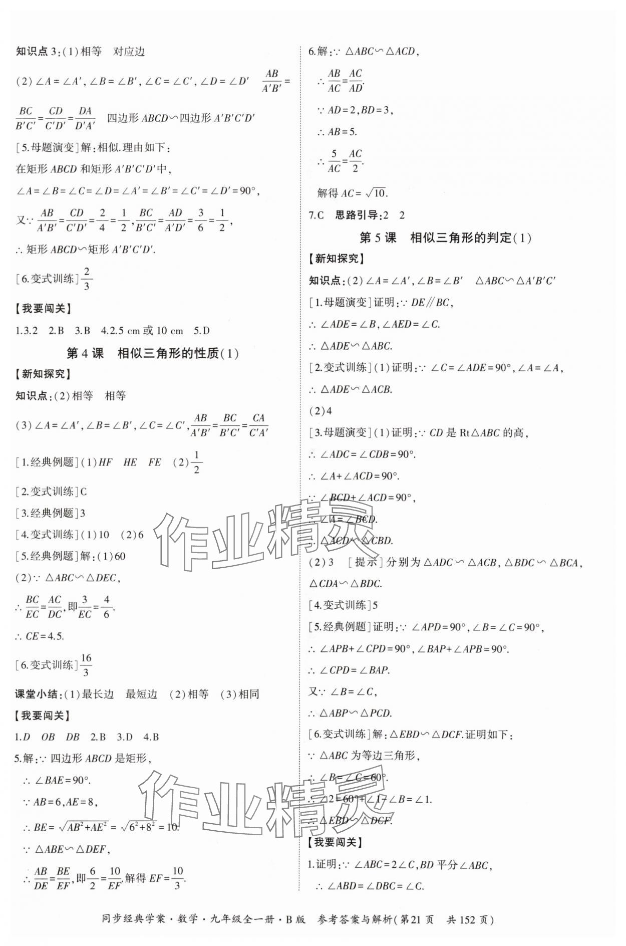 2024年同步經(jīng)典學案九年級數(shù)學全一冊北師大版 第21頁