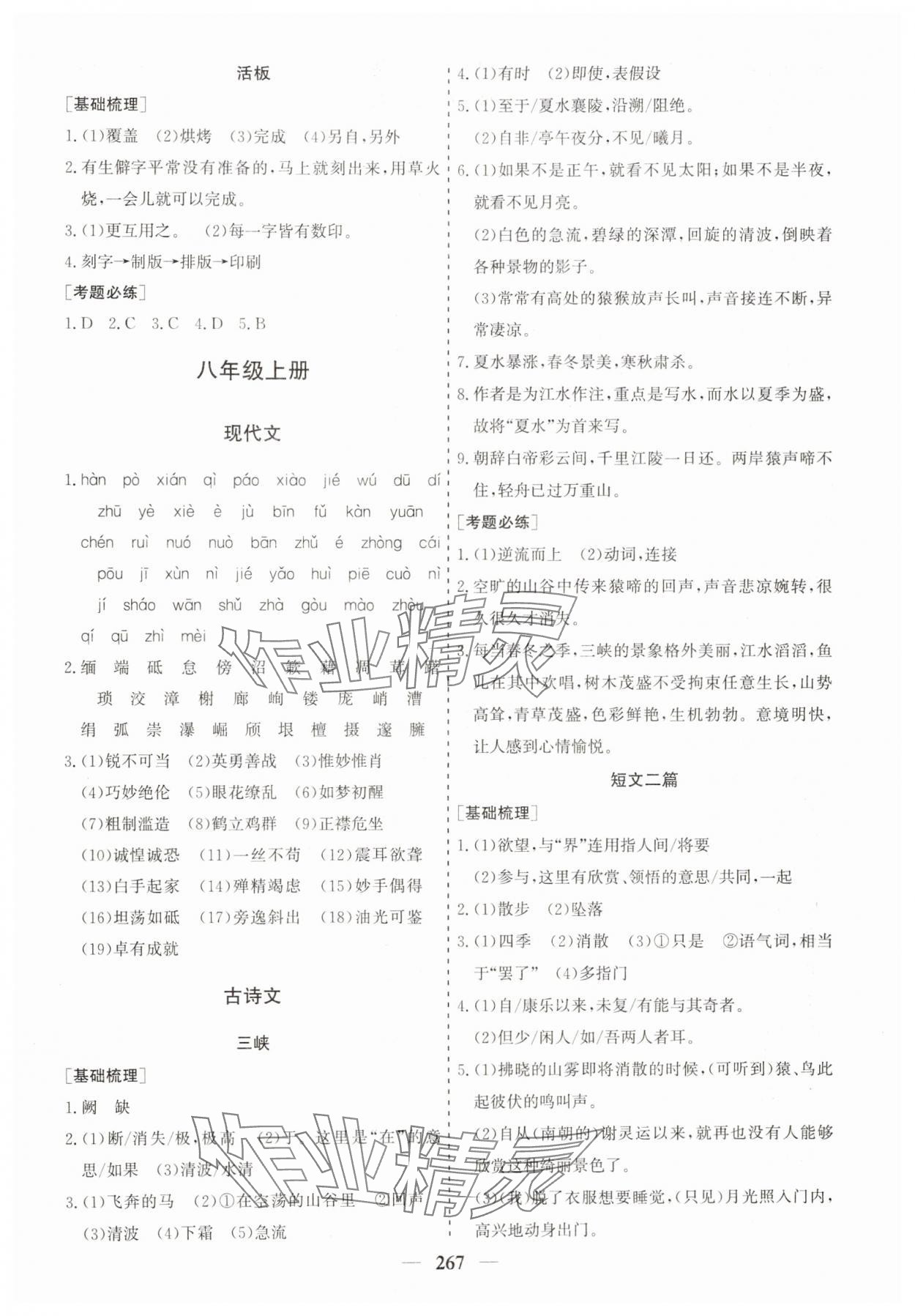 2025年點金考案語文中考 第7頁