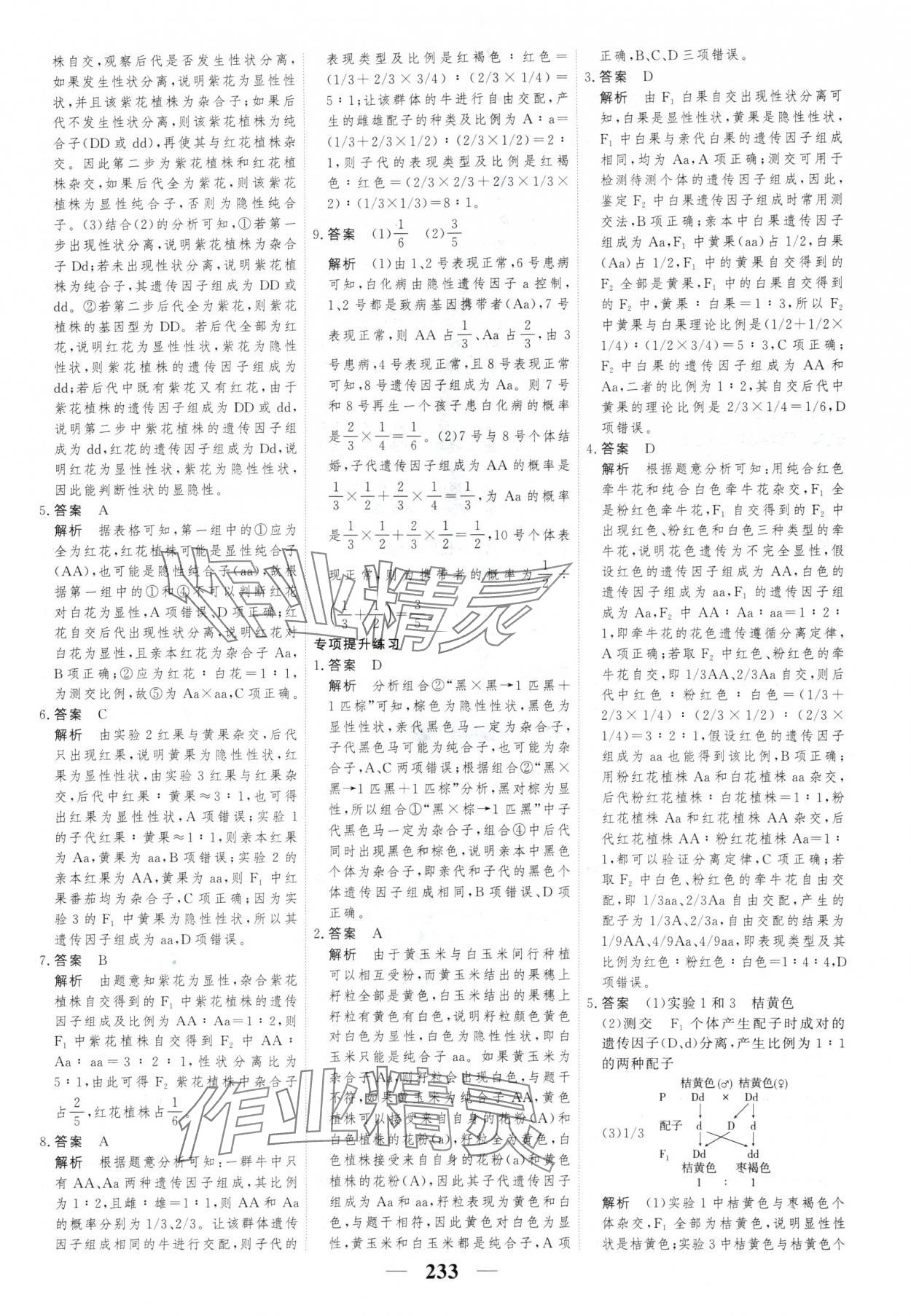 2025年新教材同步學(xué)案高考調(diào)研生物必修2人教版 第3頁