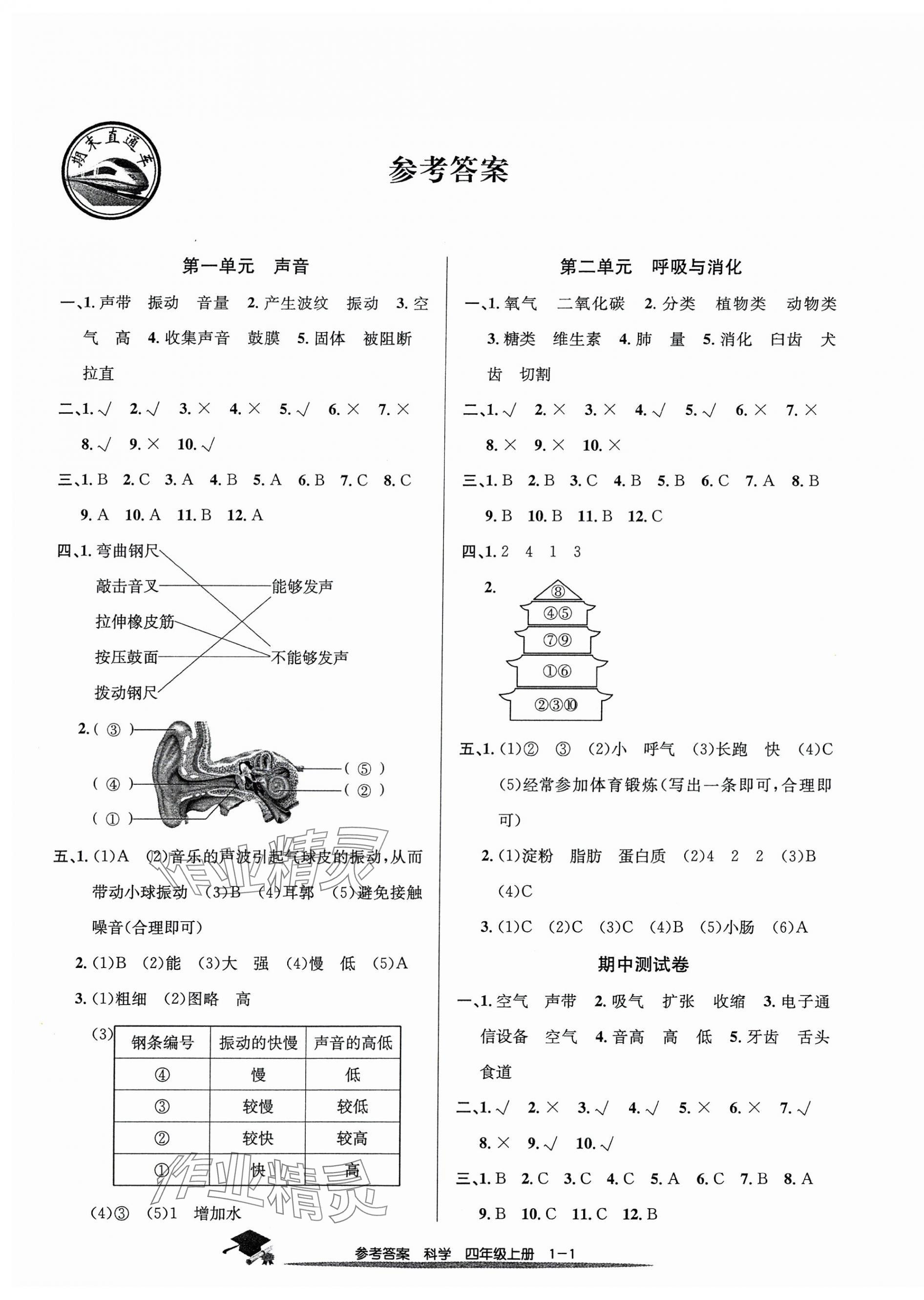 2024年期末直通車四年級科學(xué)上冊教科版 第1頁