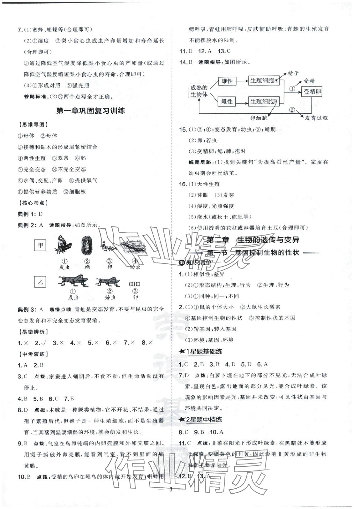 2025年点拨训练八年级生物下册人教版 第3页