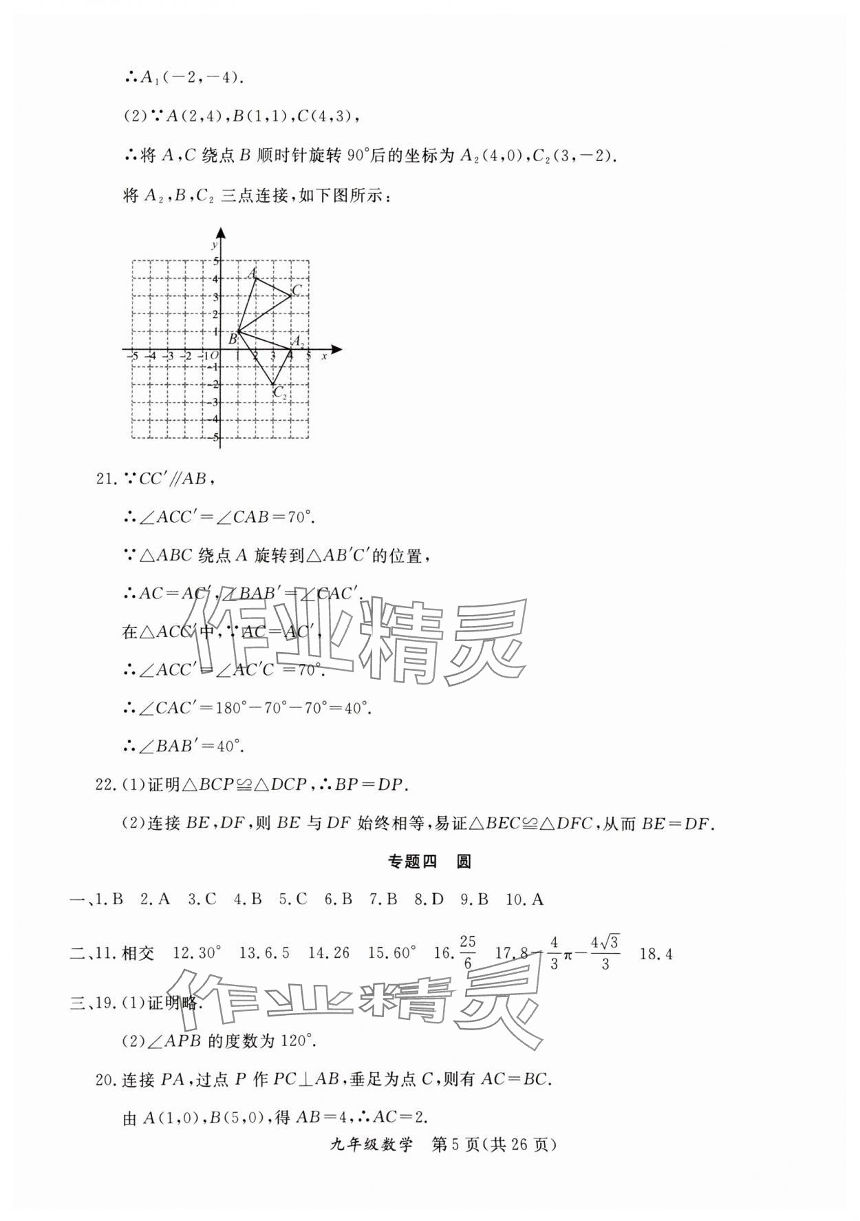 2025年寒假作業(yè)延邊教育出版社九年級合訂本人教版B版河南專版 第5頁