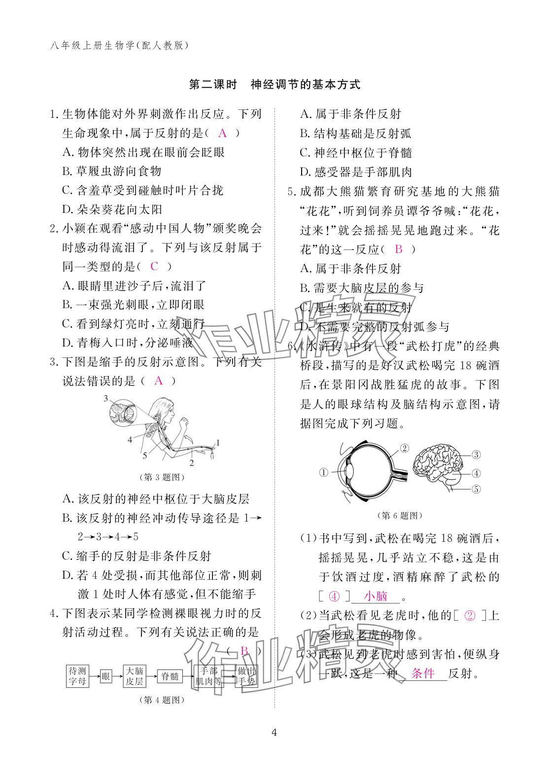 2025年作業(yè)本江西教育出版社八年級(jí)生物上冊人教版 參考答案第4頁