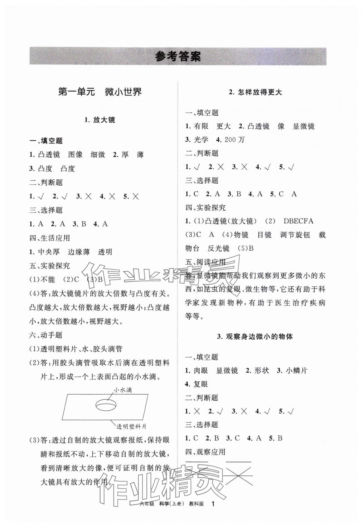 2023年學習之友六年級科學上冊教科版 參考答案第1頁