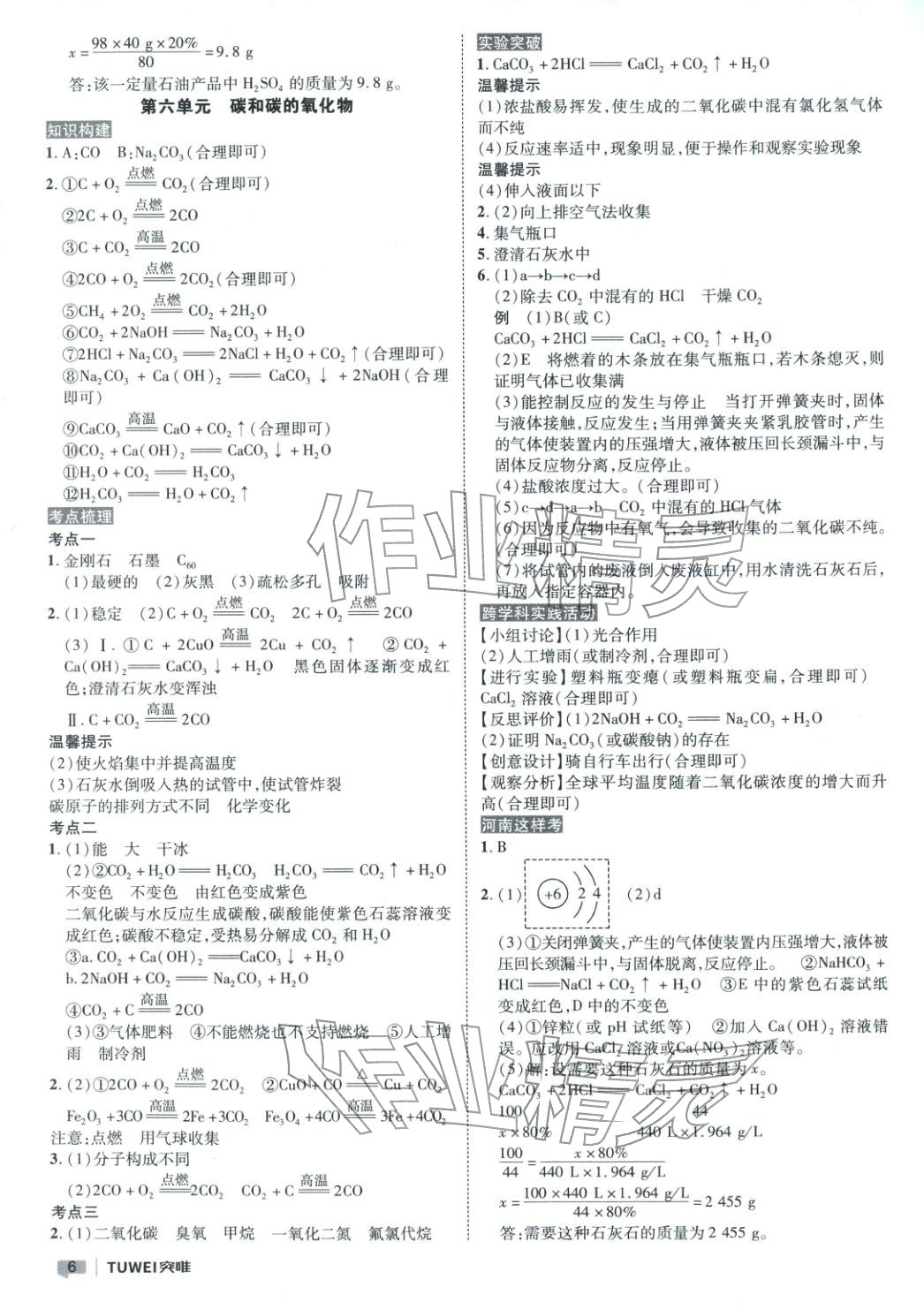 2026年突唯中考中考总复习九年级化学全一册通用版河南专版&nbsp;第6页