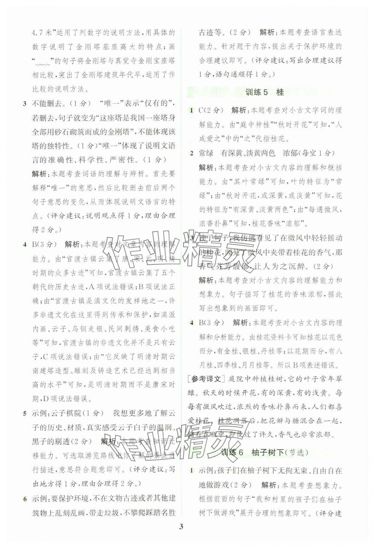 2025年通城學(xué)典組合訓(xùn)練四年級語文上冊人教版 第3頁