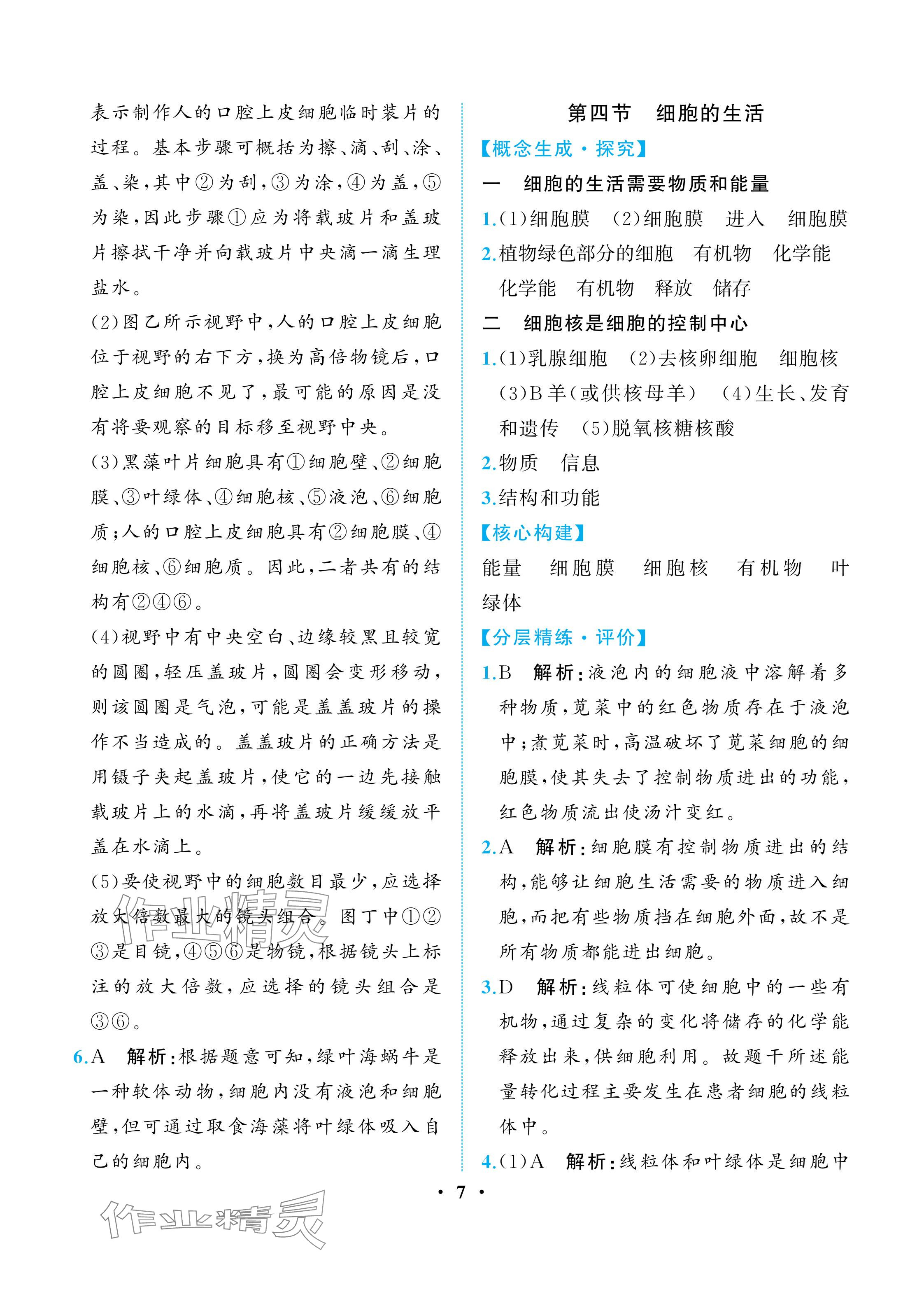 2025年人教金學典同步解析與測評七年級生物上冊人教版重慶專版&nbsp;參考答案第7頁