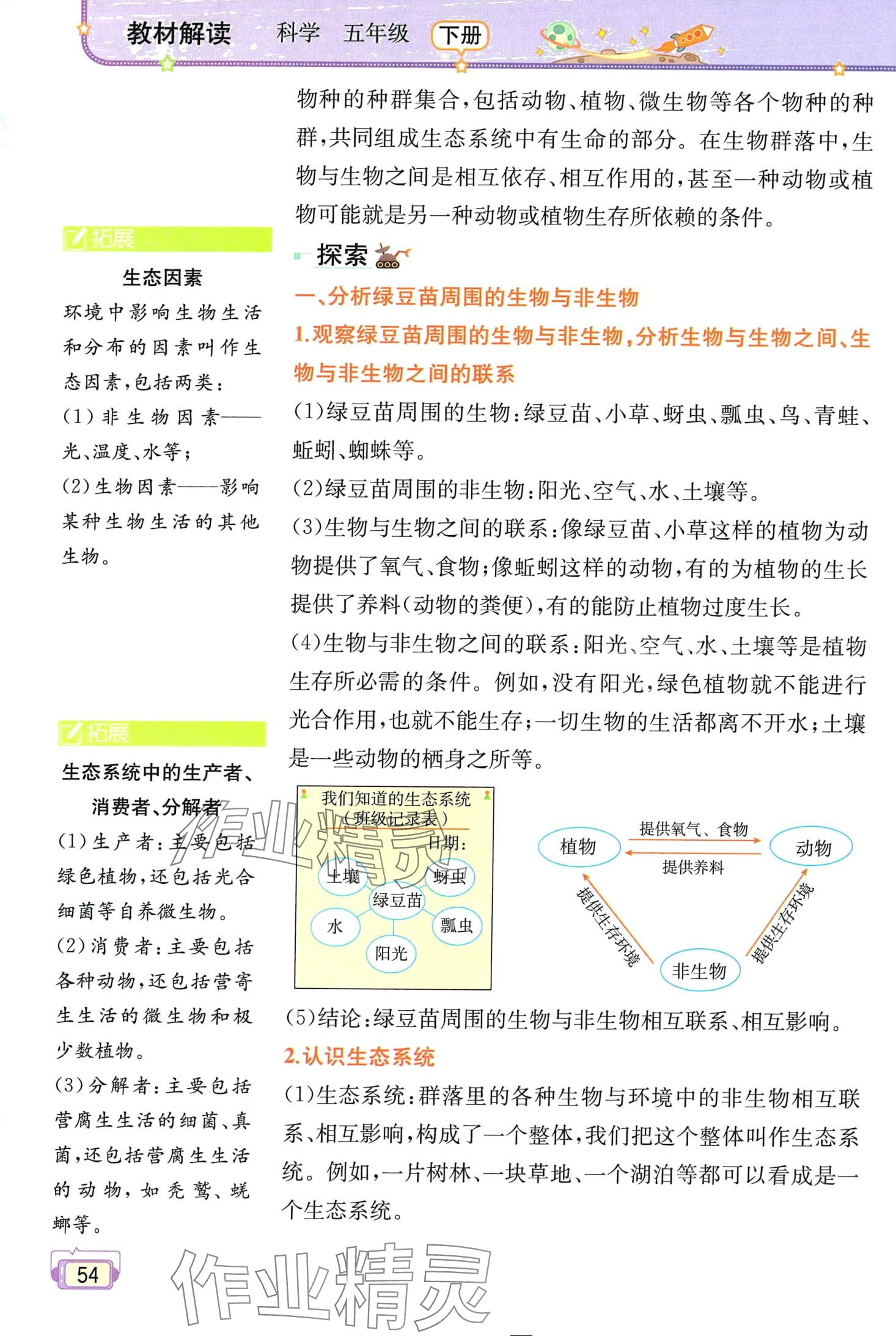 2024年教材課本五年級科學(xué)下冊教科版 第54頁