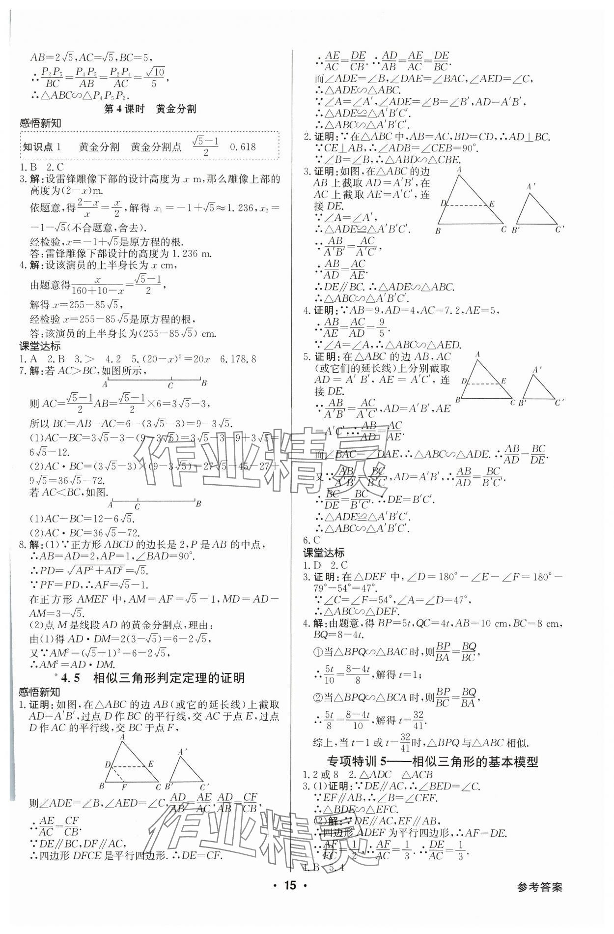 2023年金牌學(xué)典九年級(jí)數(shù)學(xué)全一冊(cè)北師大版&nbsp;參考答案第15頁(yè)