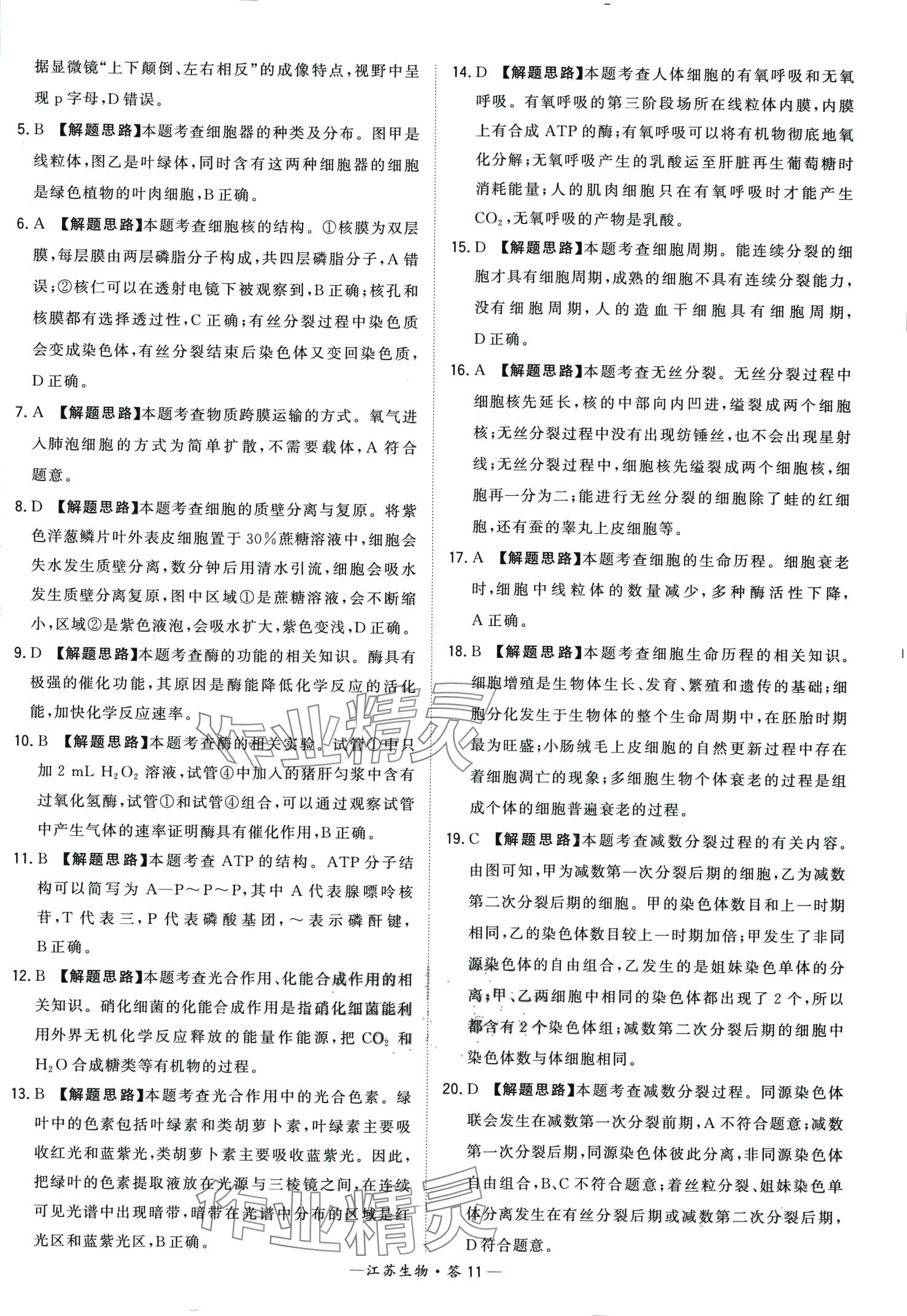 2024年天利38套學(xué)業(yè)水平考試高中生物通用版江蘇專版 第11頁