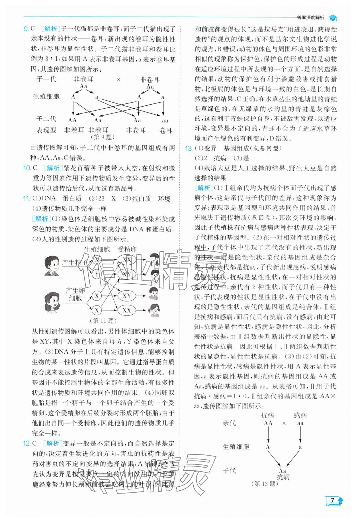 2025年實(shí)驗(yàn)班提優(yōu)訓(xùn)練九年級科學(xué)下冊浙教版 參考答案第7頁