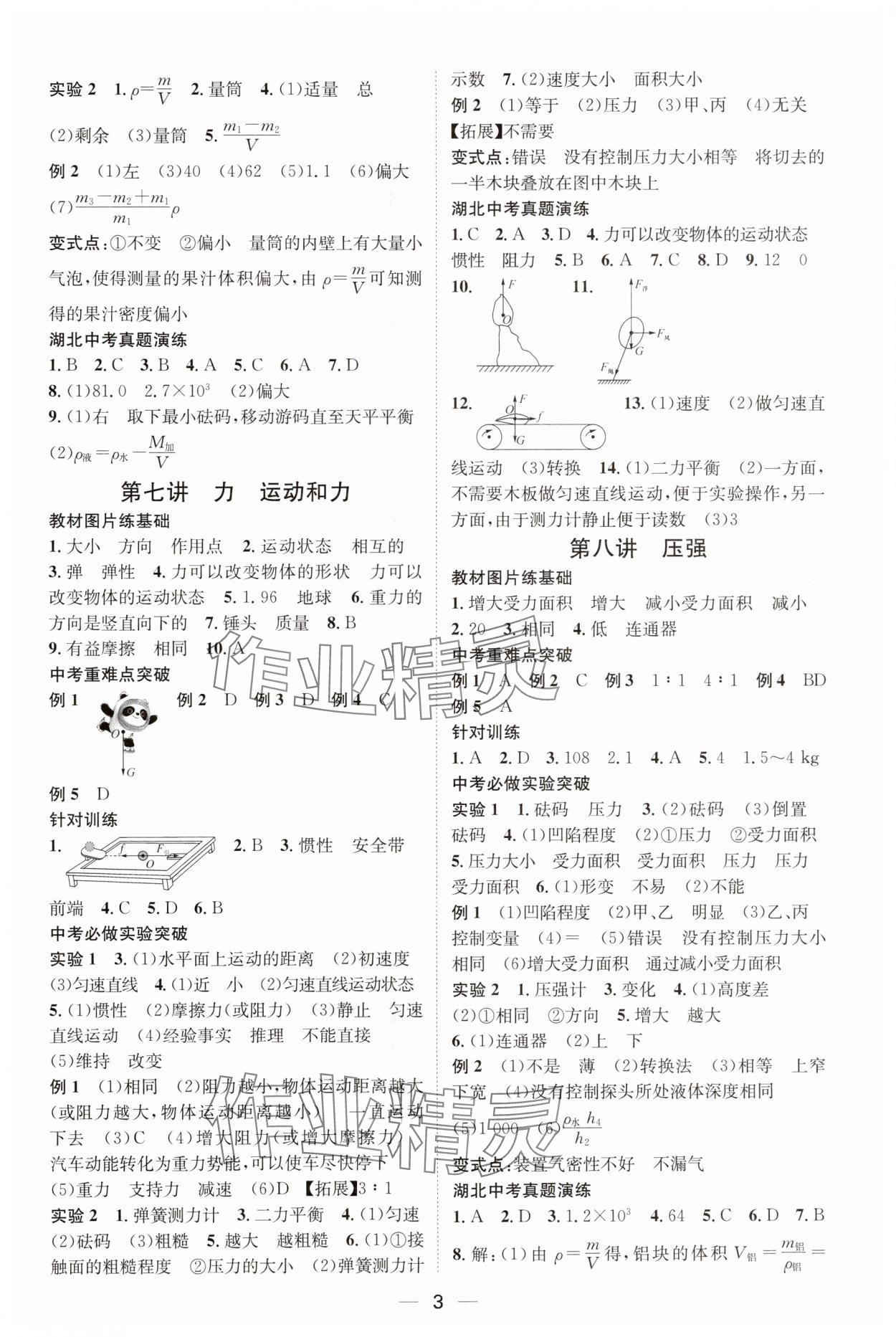 2025年名师测控中考特训方案物理湖北专版&nbsp;第3页