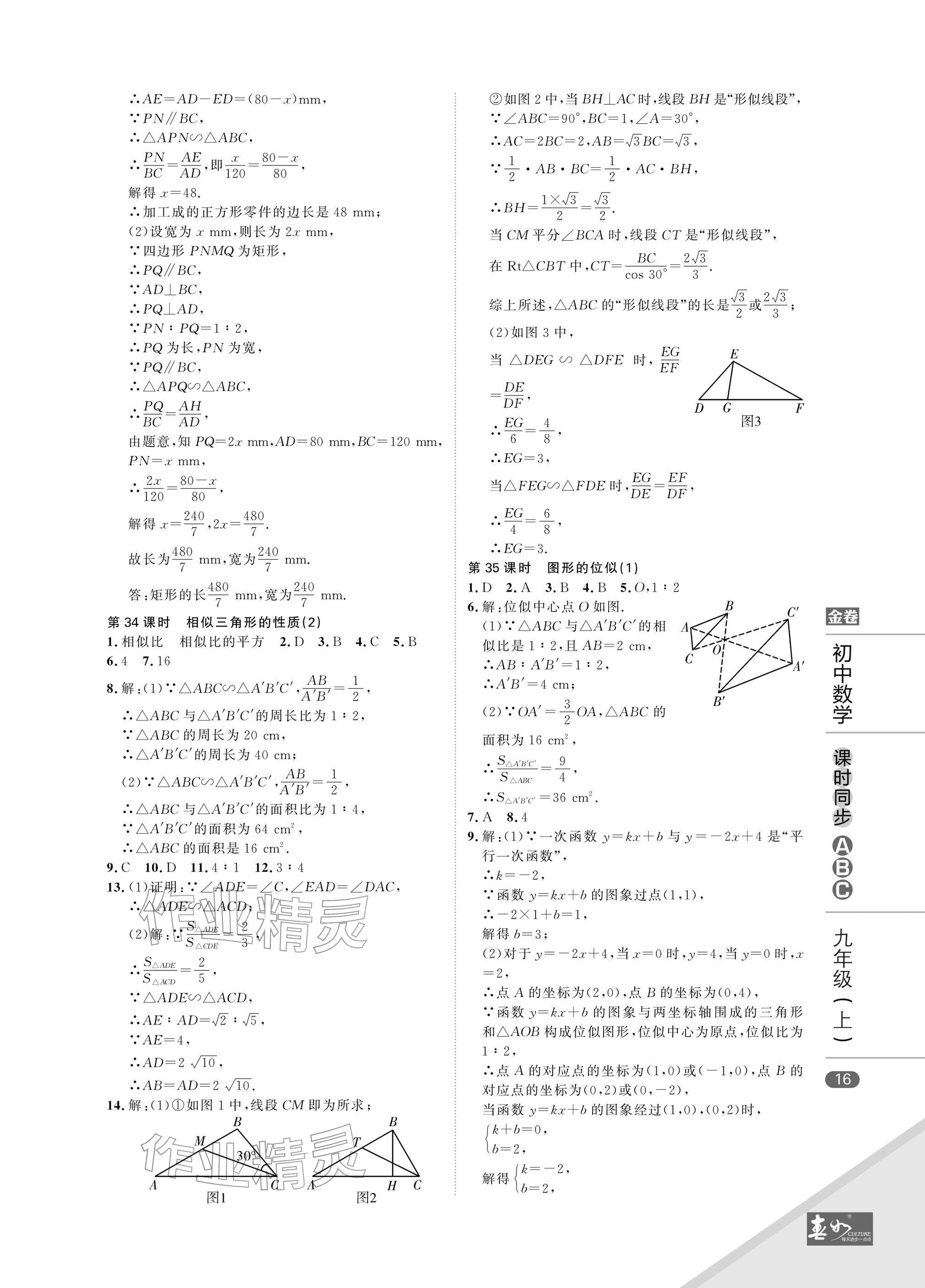2025年春如金卷課時同步ABC九年級數學上冊北師大版&nbsp;參考答案第16頁