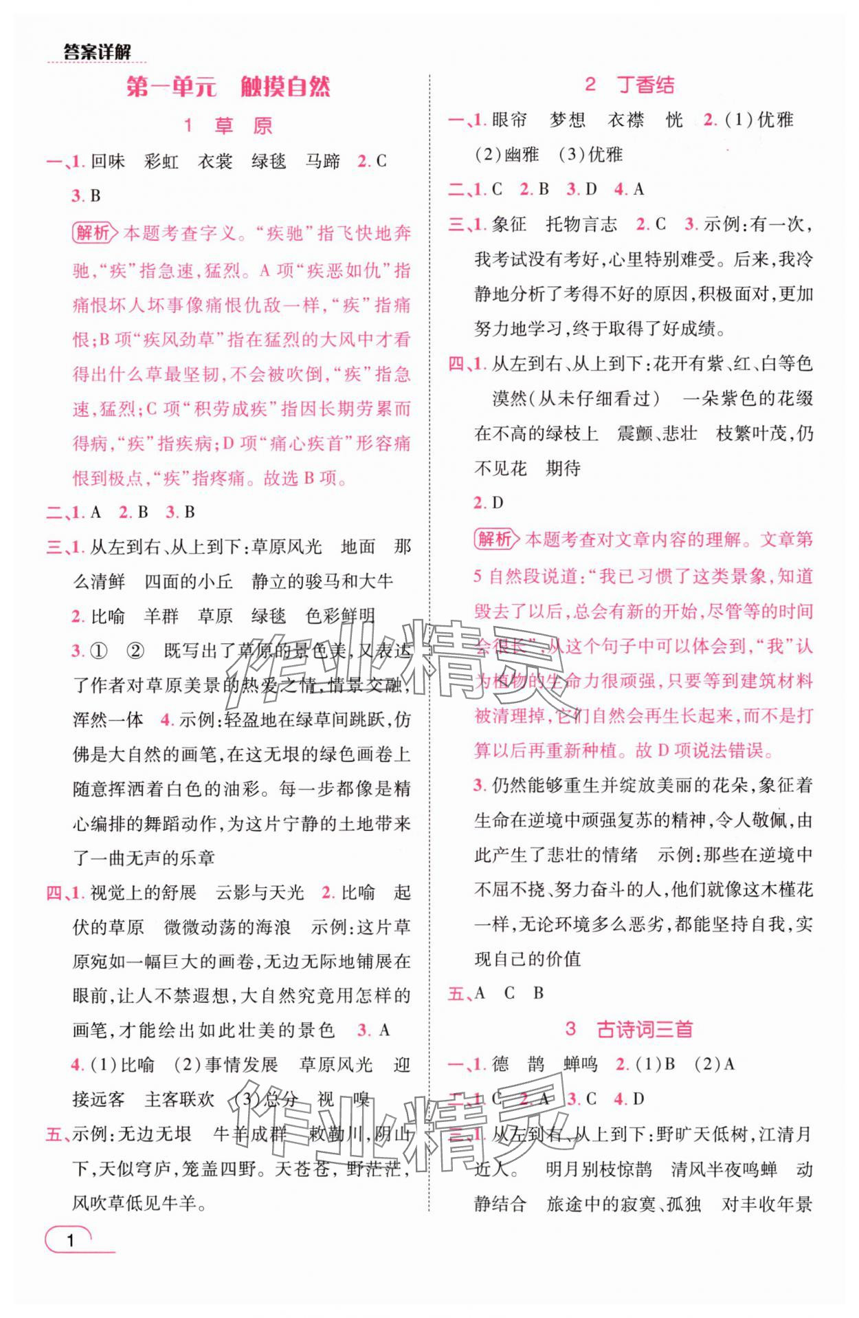 2025年名师测控六年级语文上册人教版浙江专版 参考答案第1页