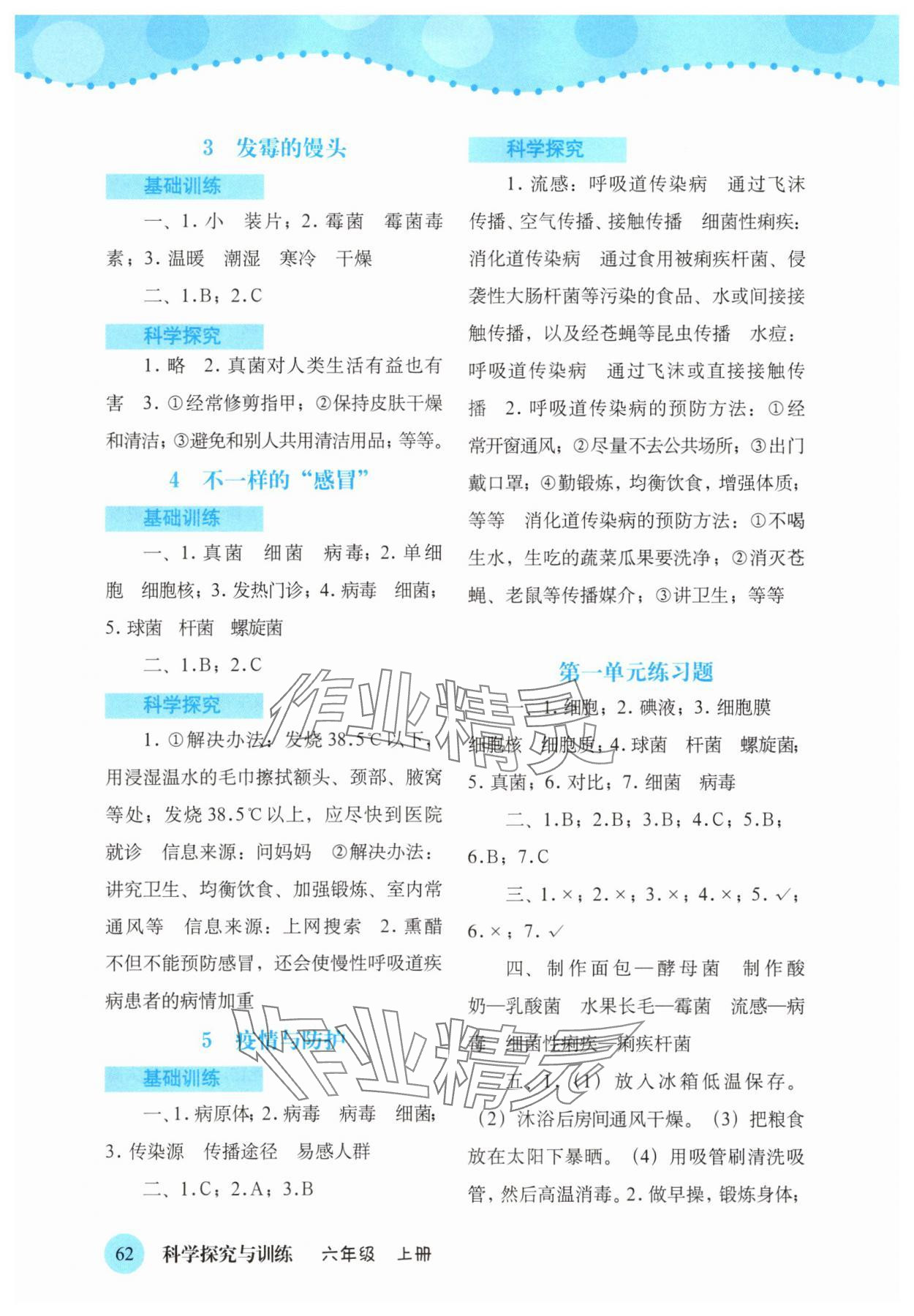 2025年科学探究与训练六年级上册大象版 第2页