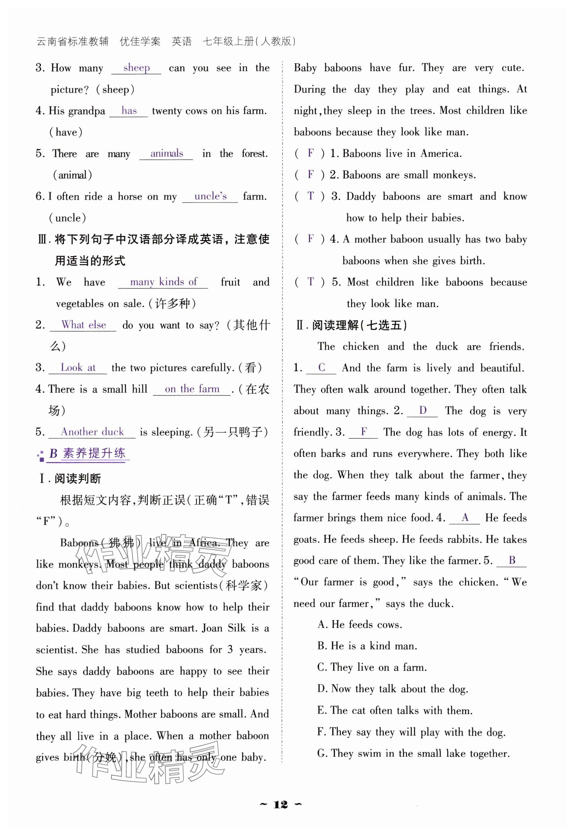 2024年云南省標(biāo)準(zhǔn)教輔優(yōu)佳學(xué)案七年級英語上冊人教版 參考答案第12頁