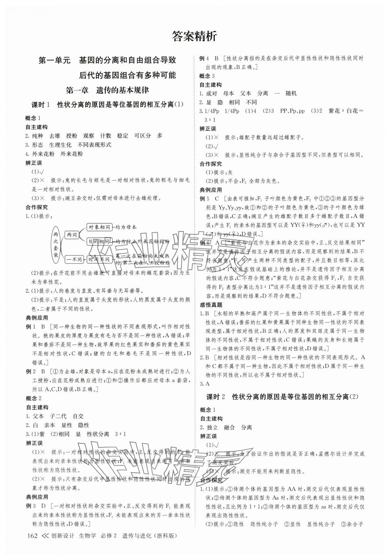 2025年創新設計高中生物必修2浙科版 第5頁
