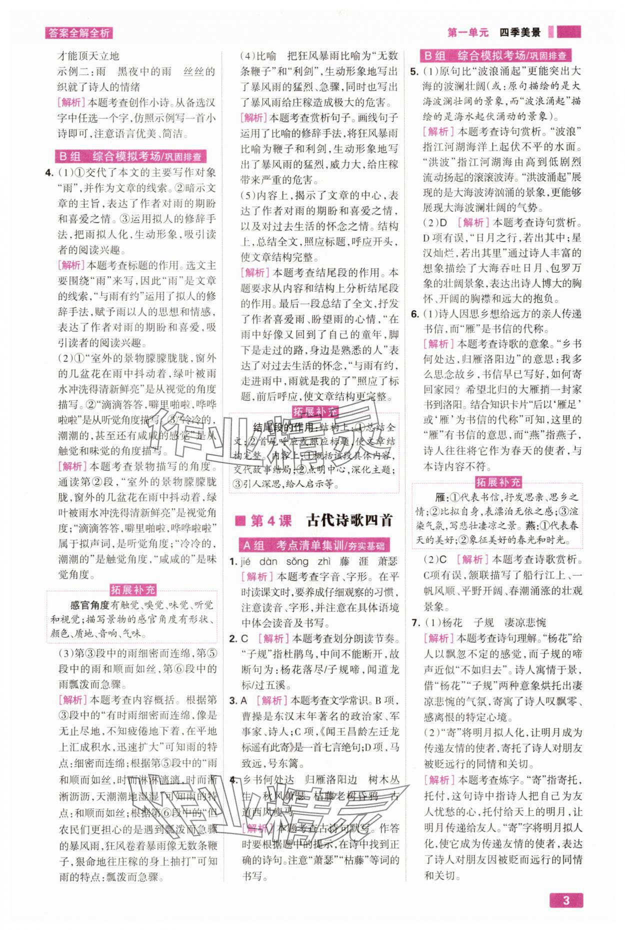 2025年考点集训与满分备考七年级语文上册人教版 第3页