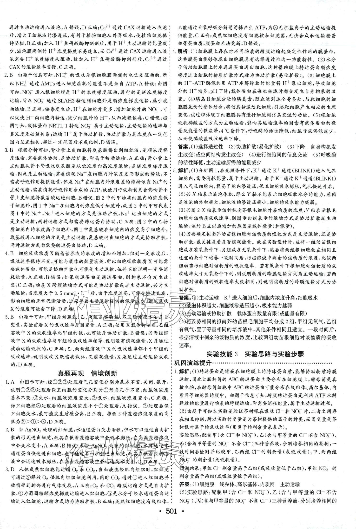 2024年優化探究高中生物 第11頁