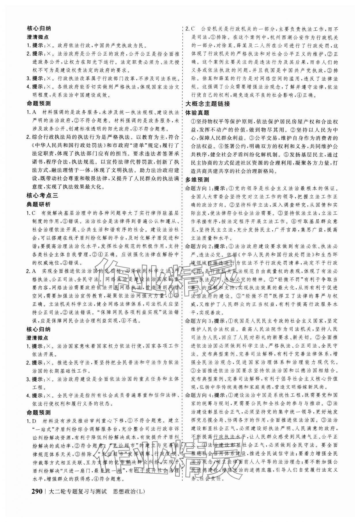 2025年高考領(lǐng)航思想政治大二輪專題復(fù)習(xí)與測(cè)試 參考答案第13頁(yè)