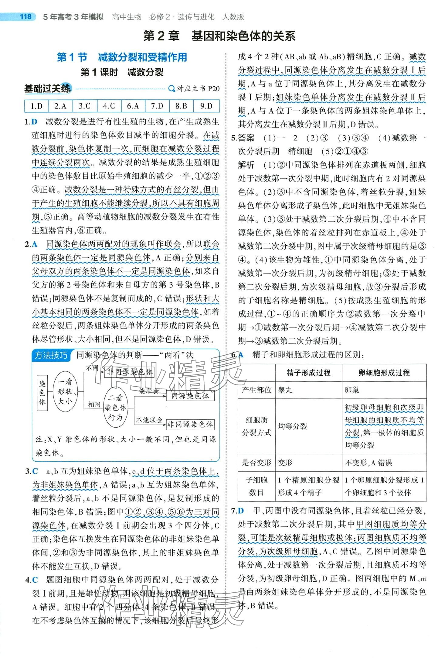 2024年5年高考3年模拟高中生物必修2人教版 第18页