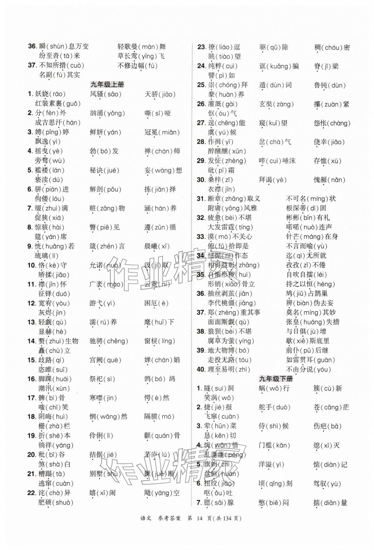 2026年中考高效复习学与教语文广州专版&nbsp;参考答案第14页